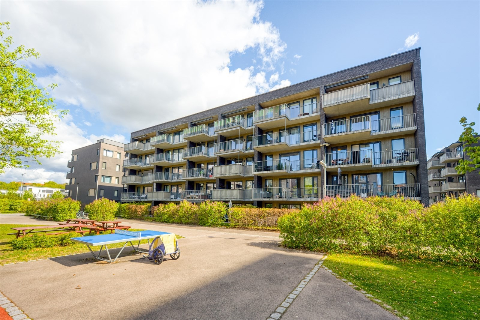 Fasade. Galleribilde