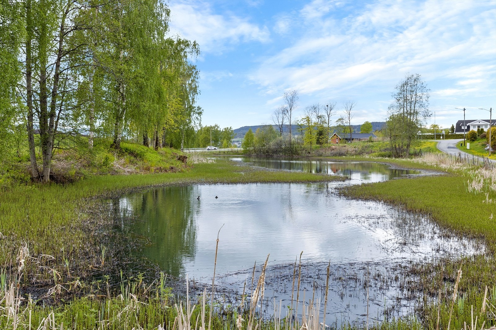 Eiendommen ligger i et område med nærhet til natur og turmuligheter, blant annet ved Lahelldammen. Galleribilde