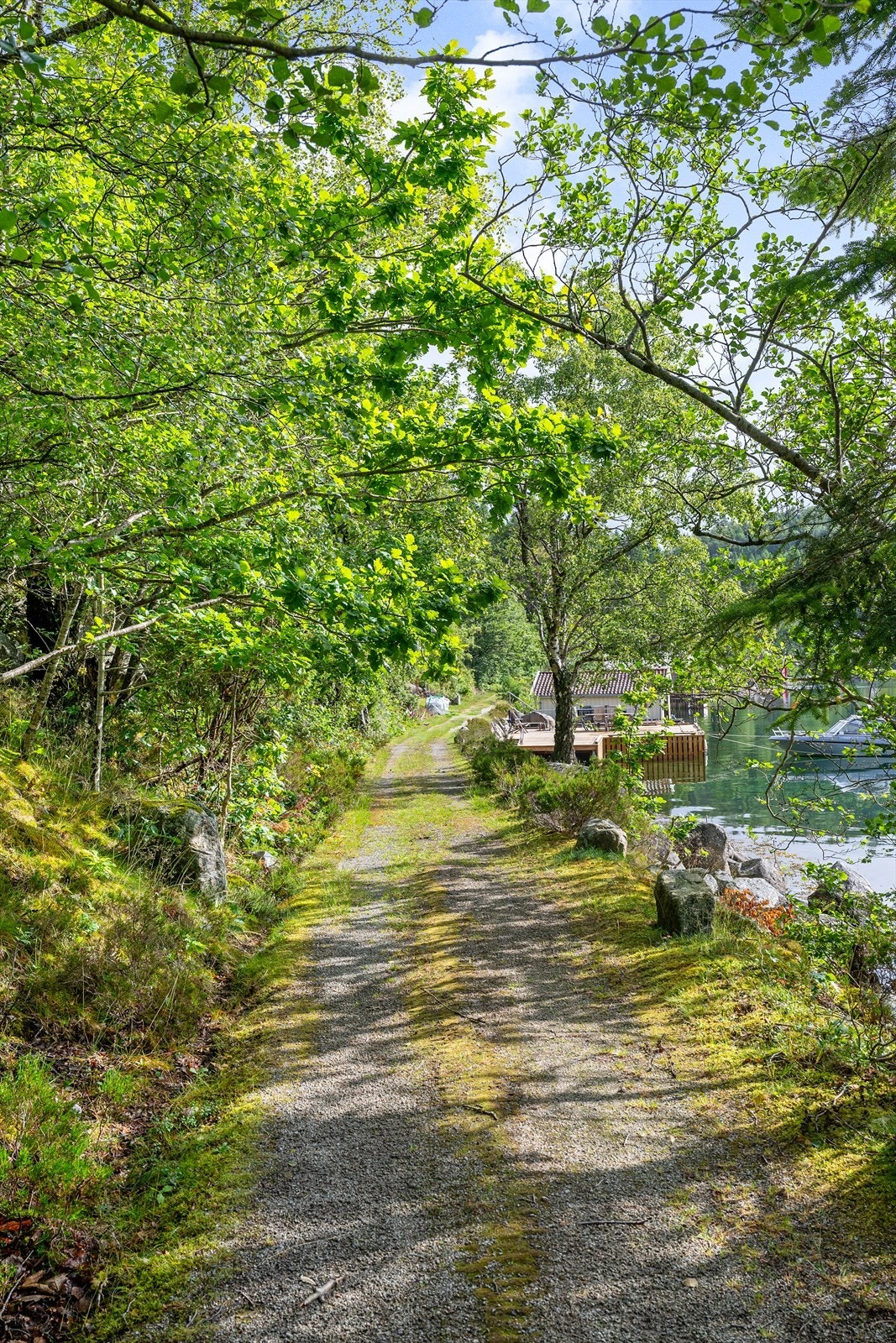 Ved Bygdeveien langs Ådnøy er det nydelig å spasere til både hyttenaboer eller turområder Galleribilde