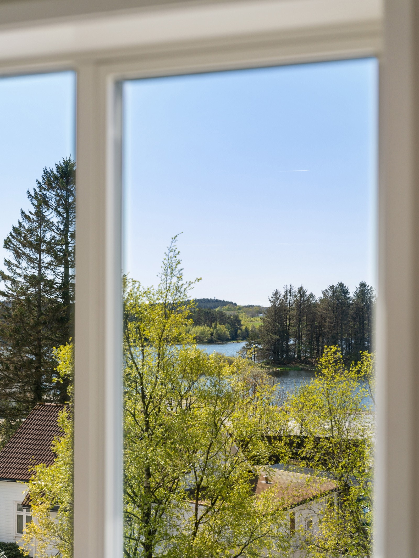 Utsikt fra stuen. Galleribilde