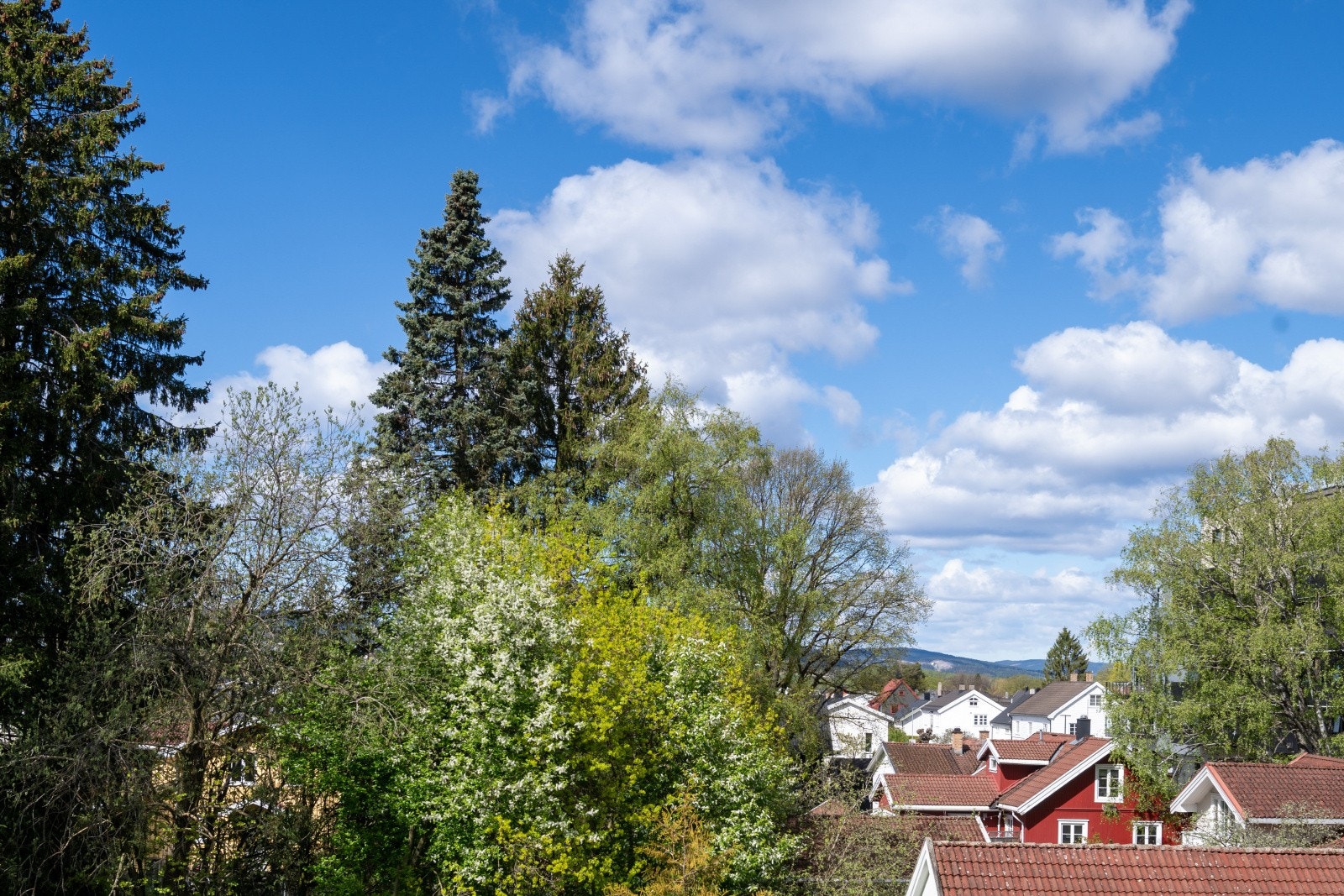 Utsikt over et etablert og grønt boligområde. Galleribilde