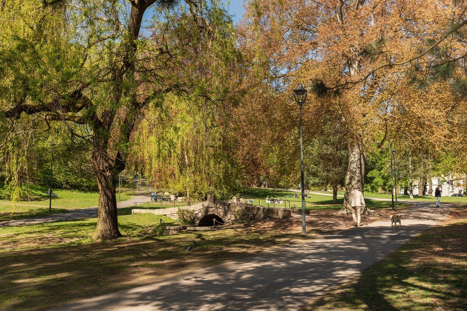 Leiligheten ligger rett over veien for St. Hanshaugen park Galleribilde