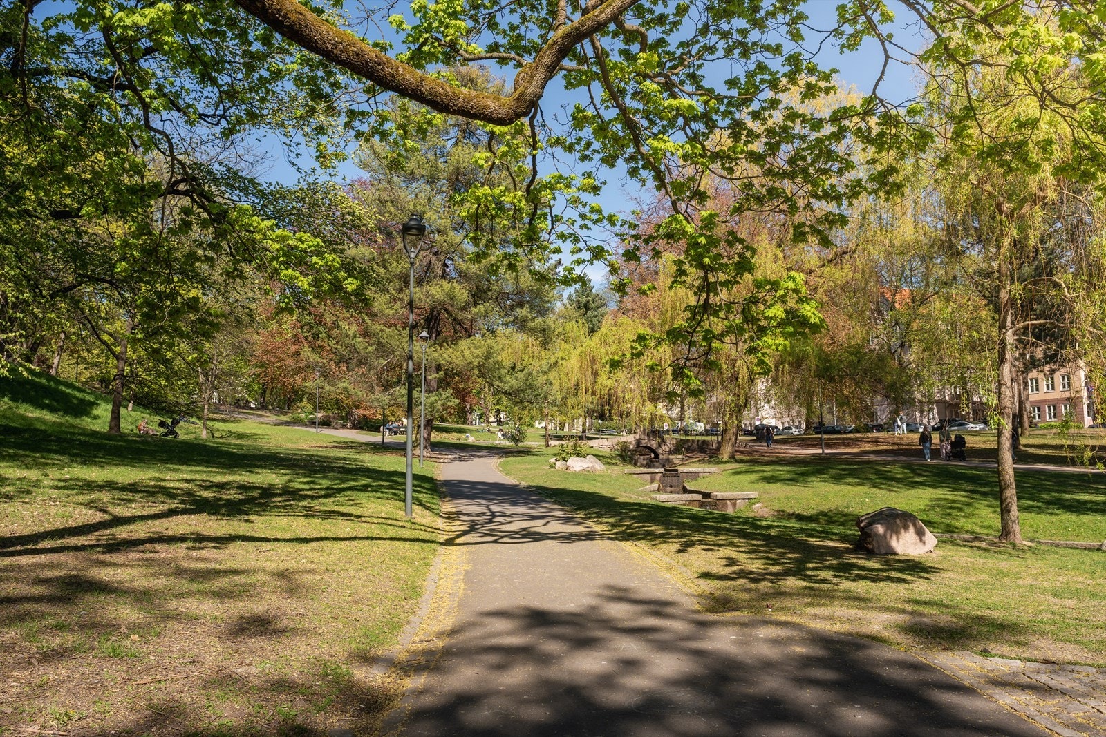 St. Hanshaugen park Galleribilde