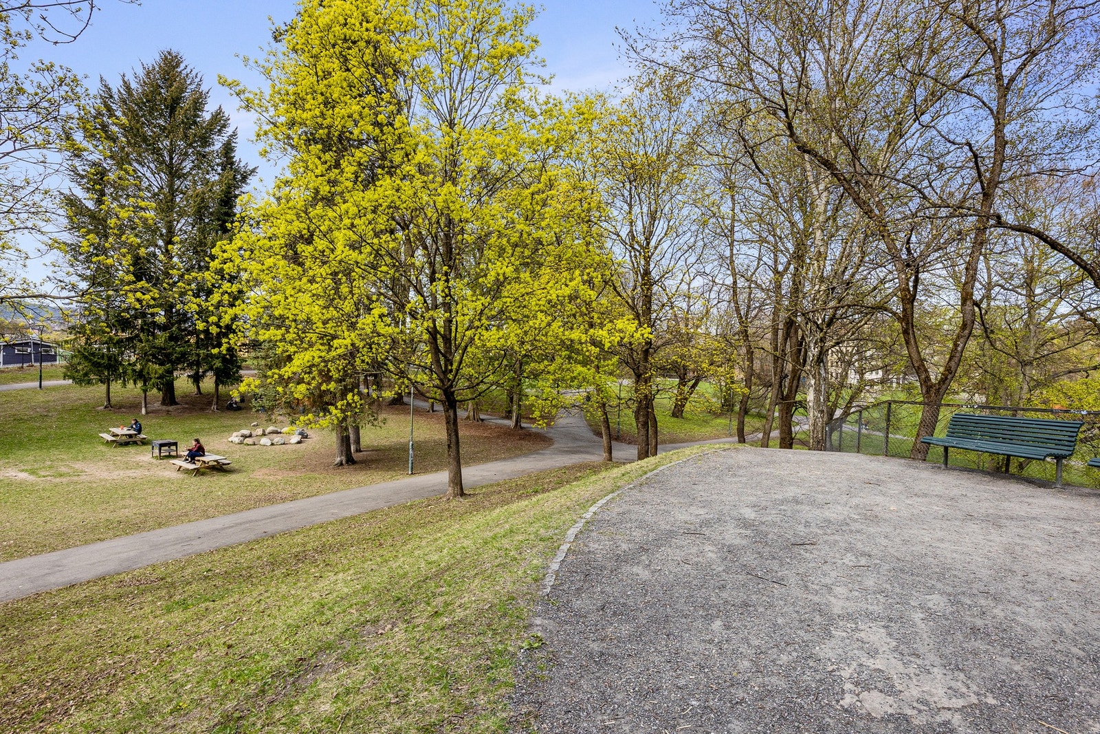 Bjølsenparken grenser til borettslaget. Galleribilde