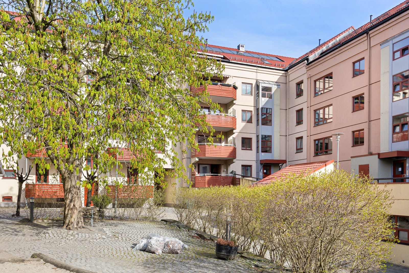 Pent opparbeidet bakgård. Galleribilde