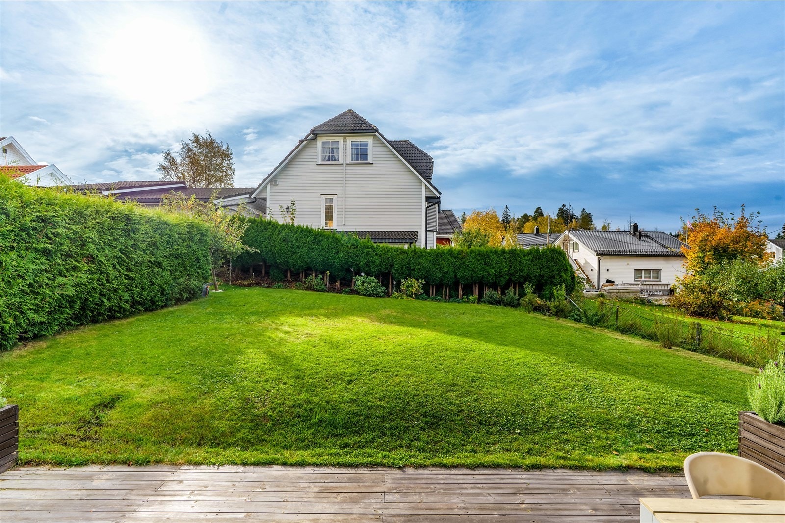 Stor og velholdt hage med gressplen, hekk og øvrig beplantning. Galleribilde