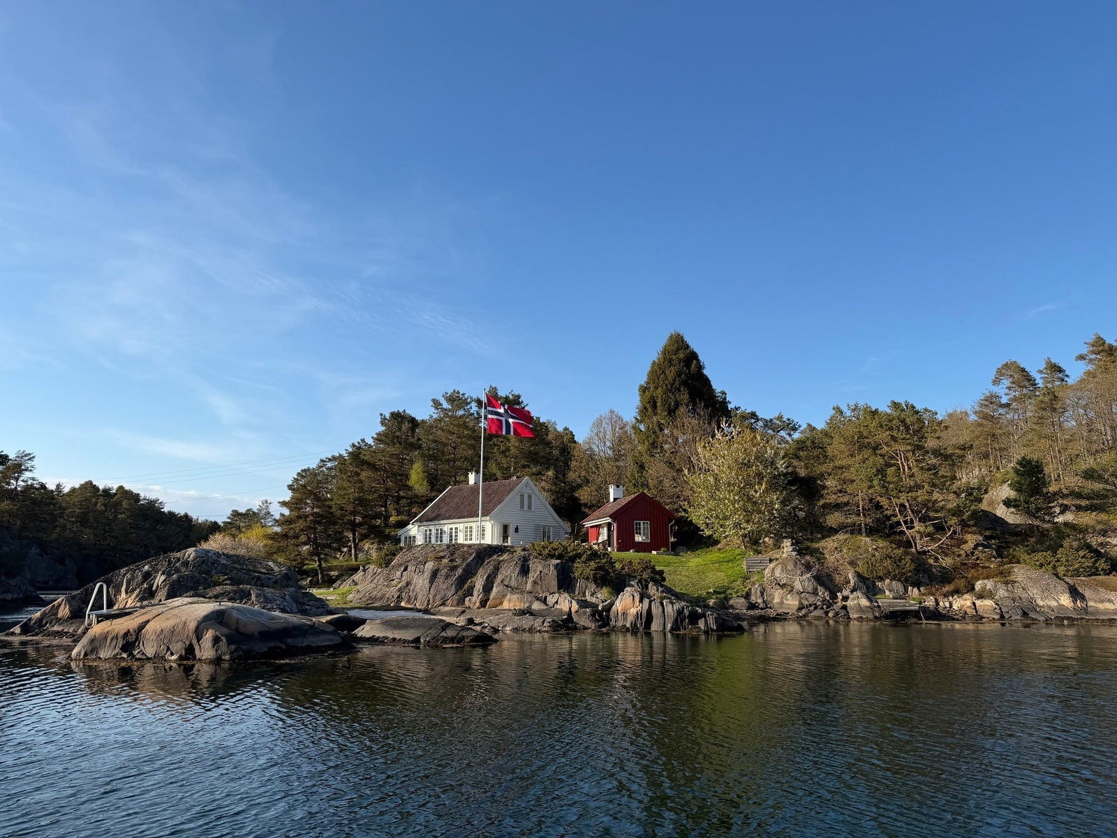 Selgers bilde tatt 9. mai iår Galleribilde