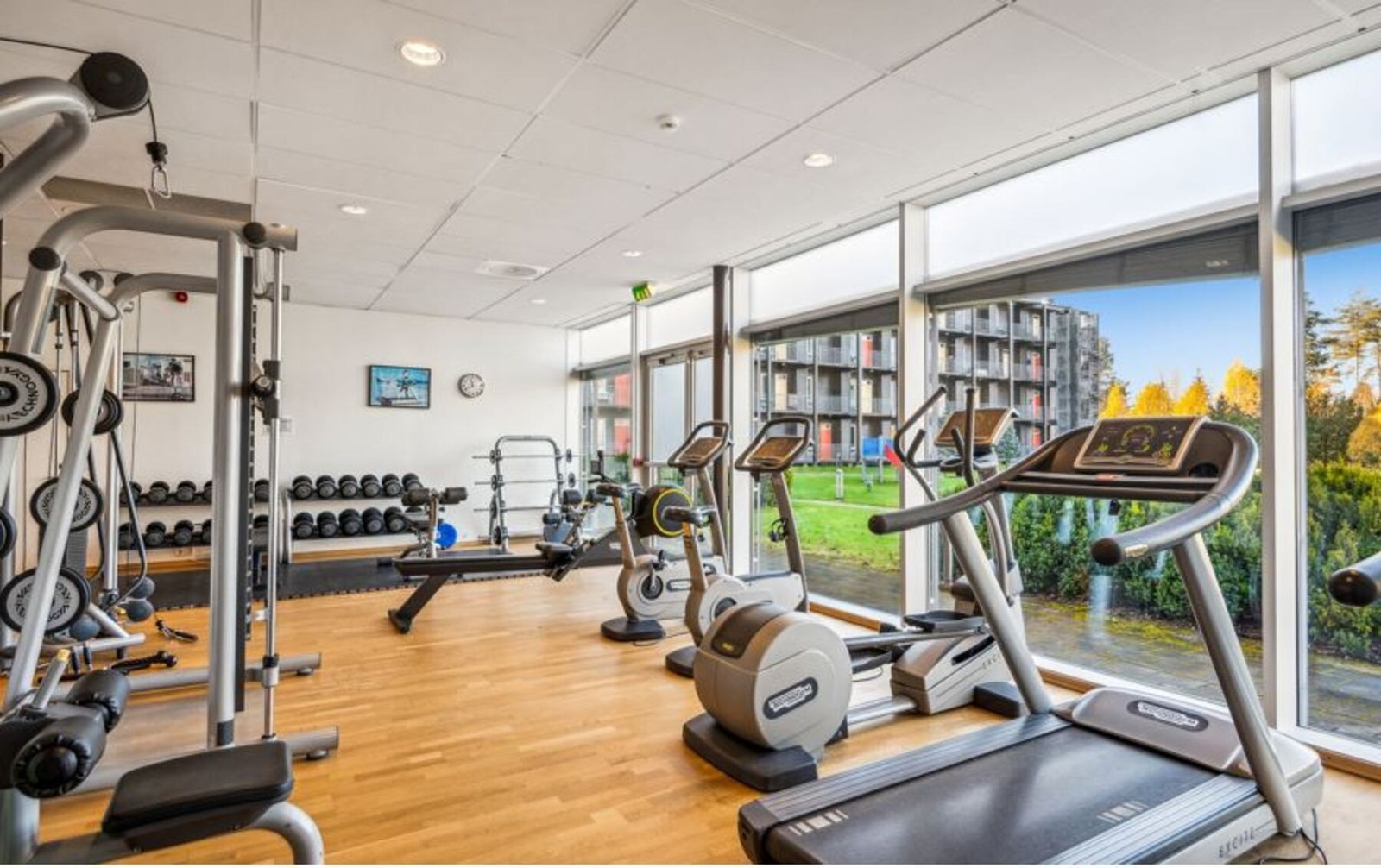 Tilgang til moderne treningsrom med gode fasiliteter for en aktiv hverdag. Galleribilde