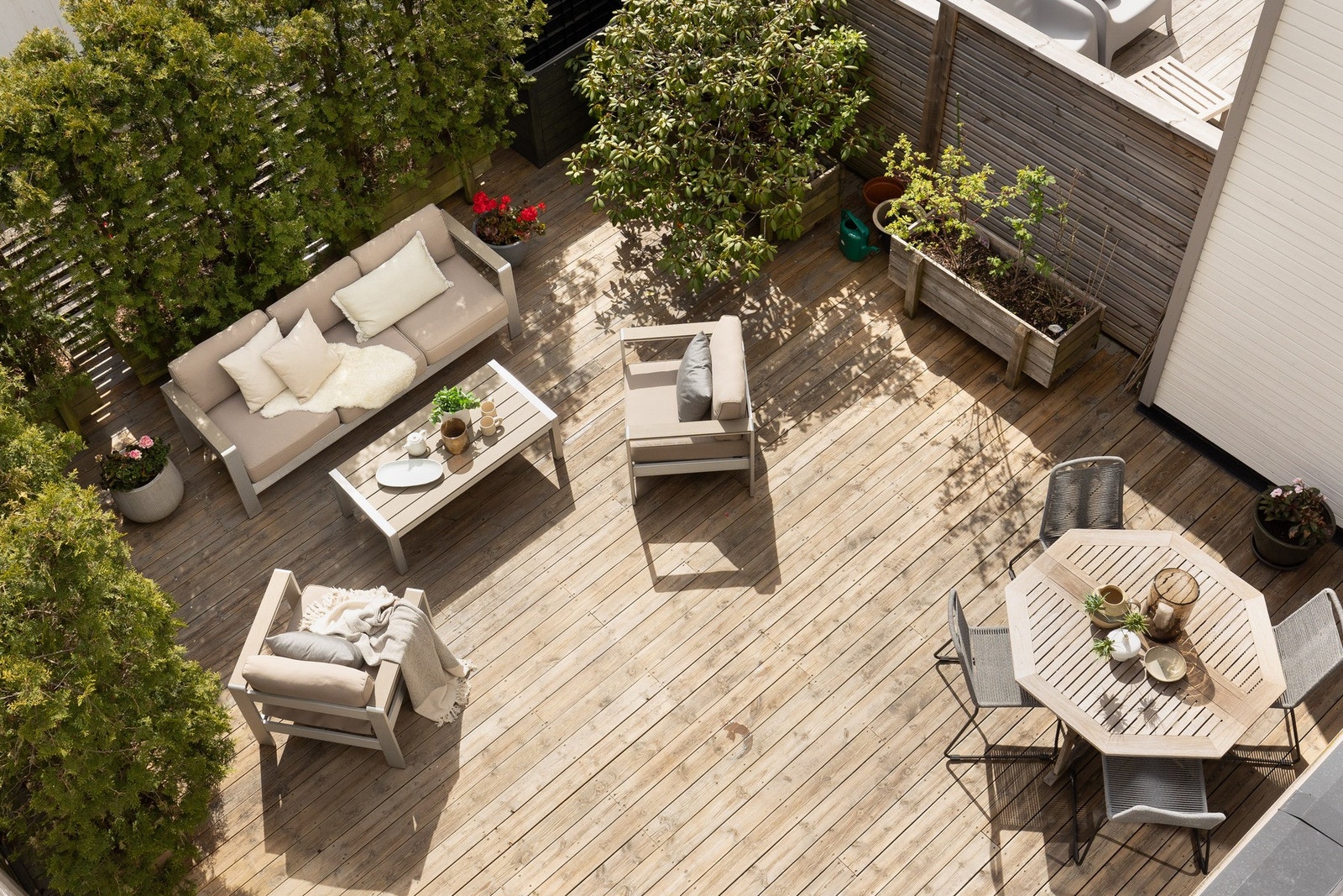 Stor, solrik terrasse med utgang fra stue Galleribilde