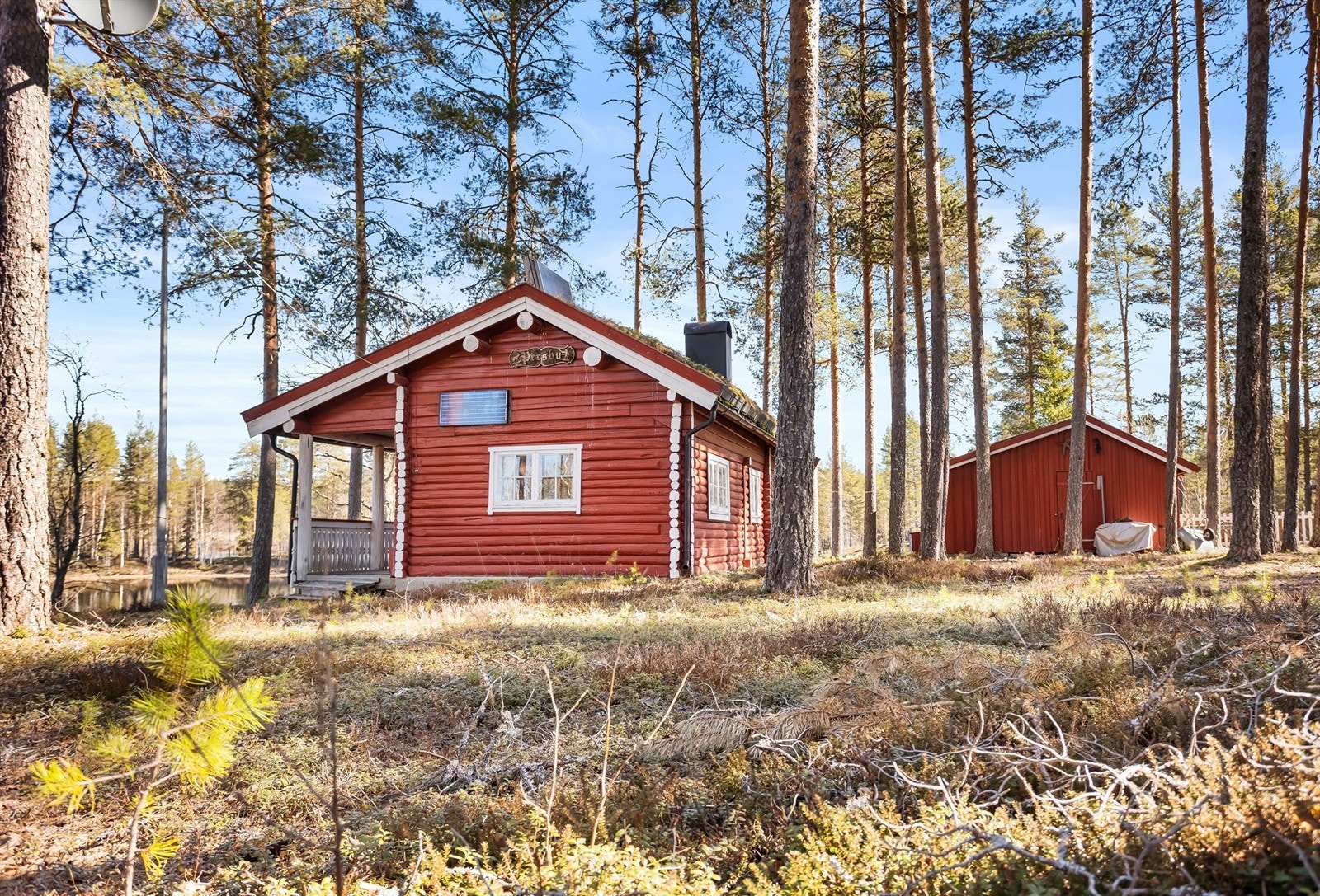 Hytta ligger usjenert til, omgitt av høyreist furuskog. Galleribilde