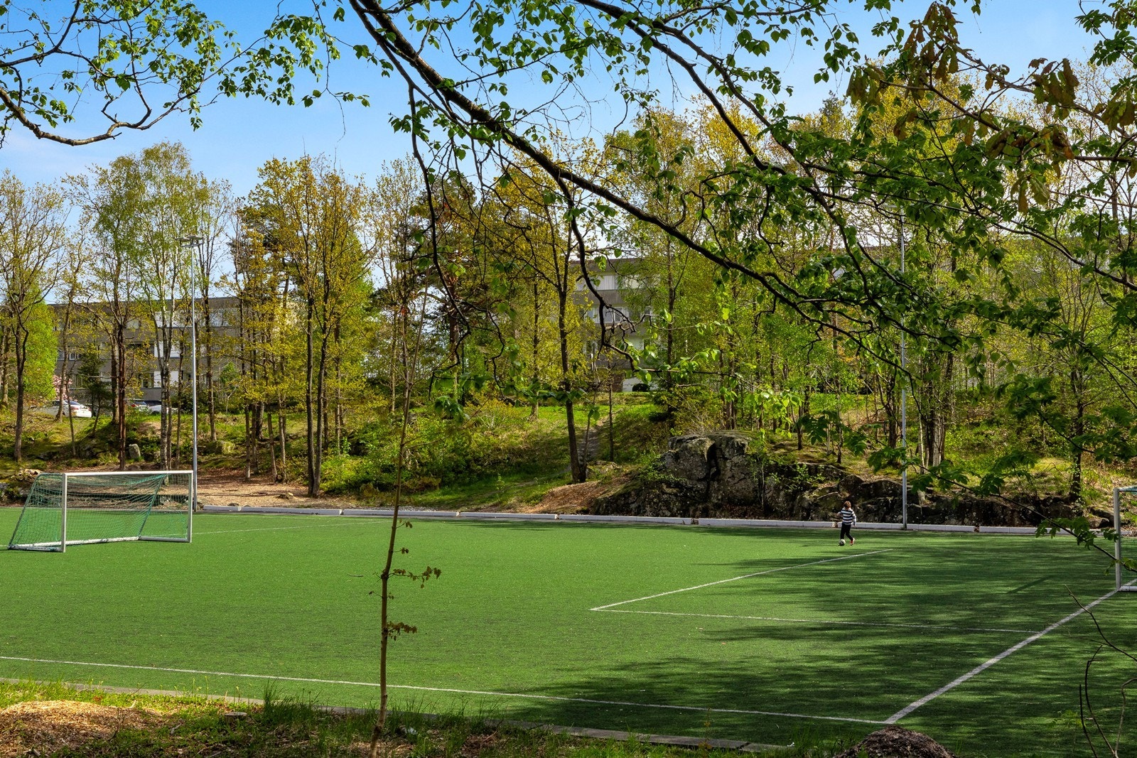 Nærområde. Galleribilde