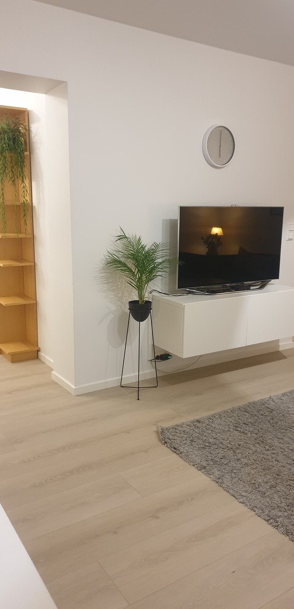 Tvsonen Galleribilde