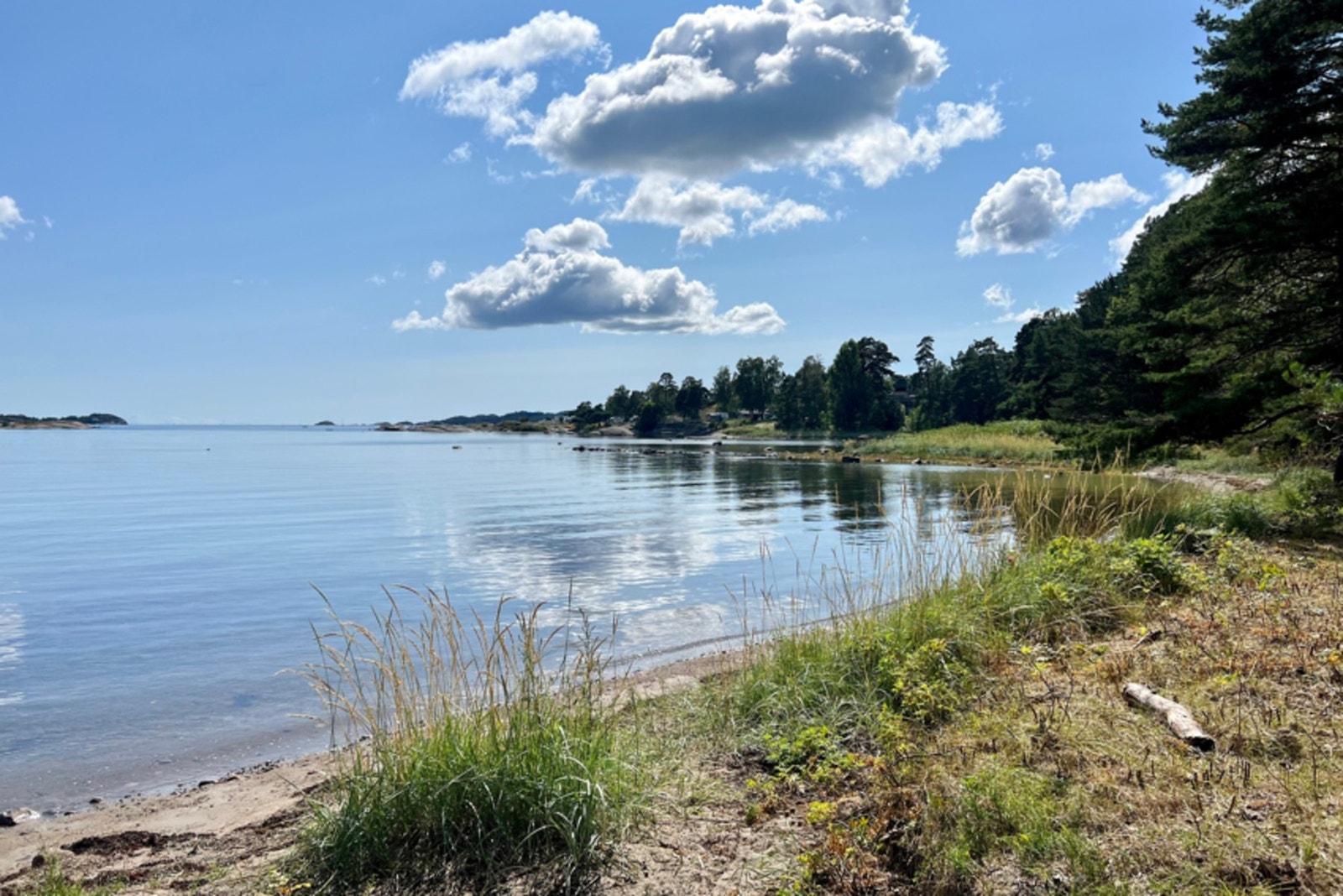 Nydelige Korsvik med strand, furuskog og svaberg Galleribilde