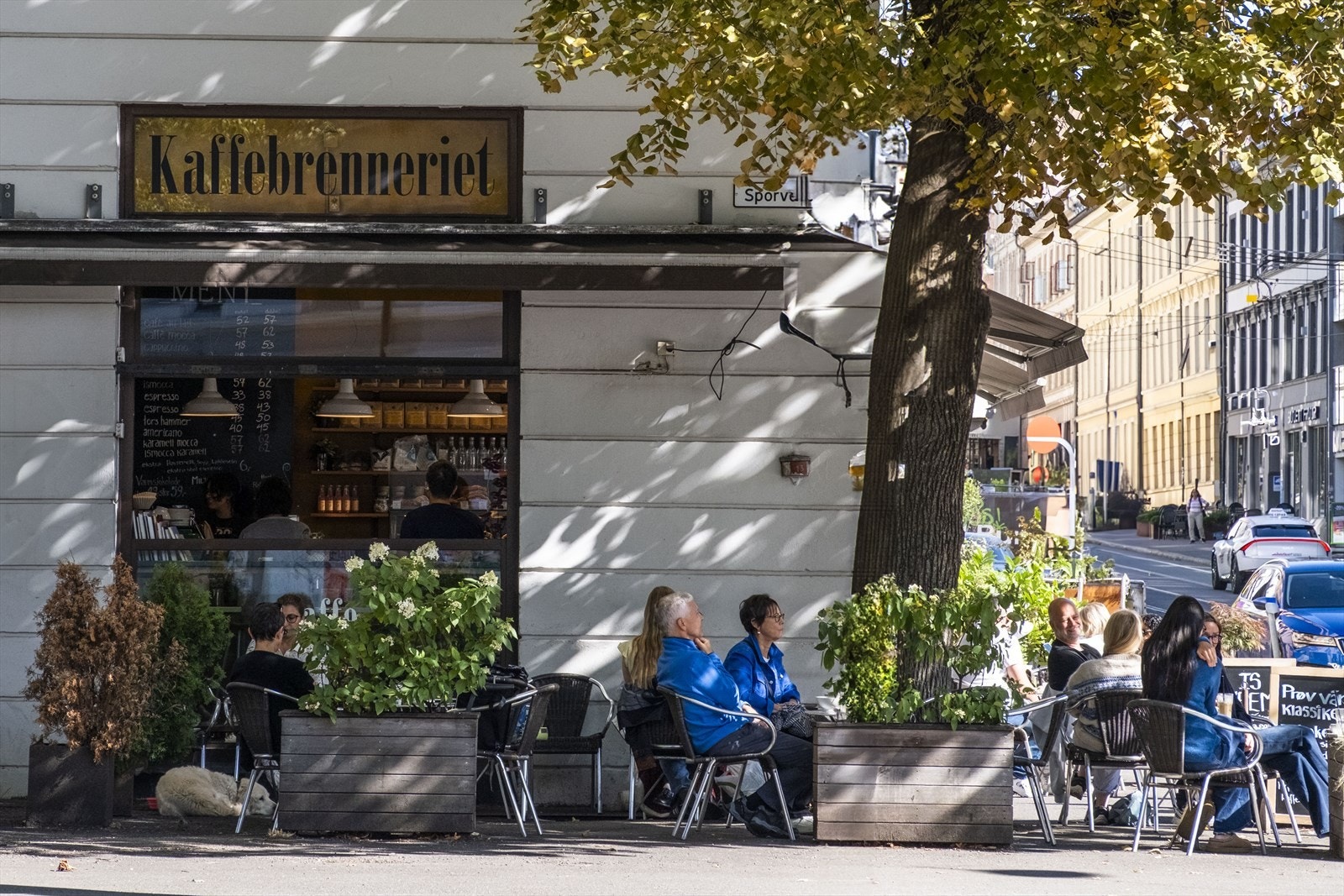 Områdebilde. Galleribilde