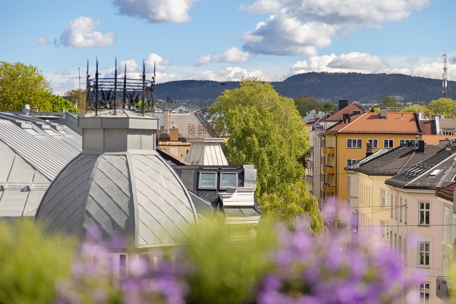 Formidabel utsikt mot Grefsen. Galleribilde