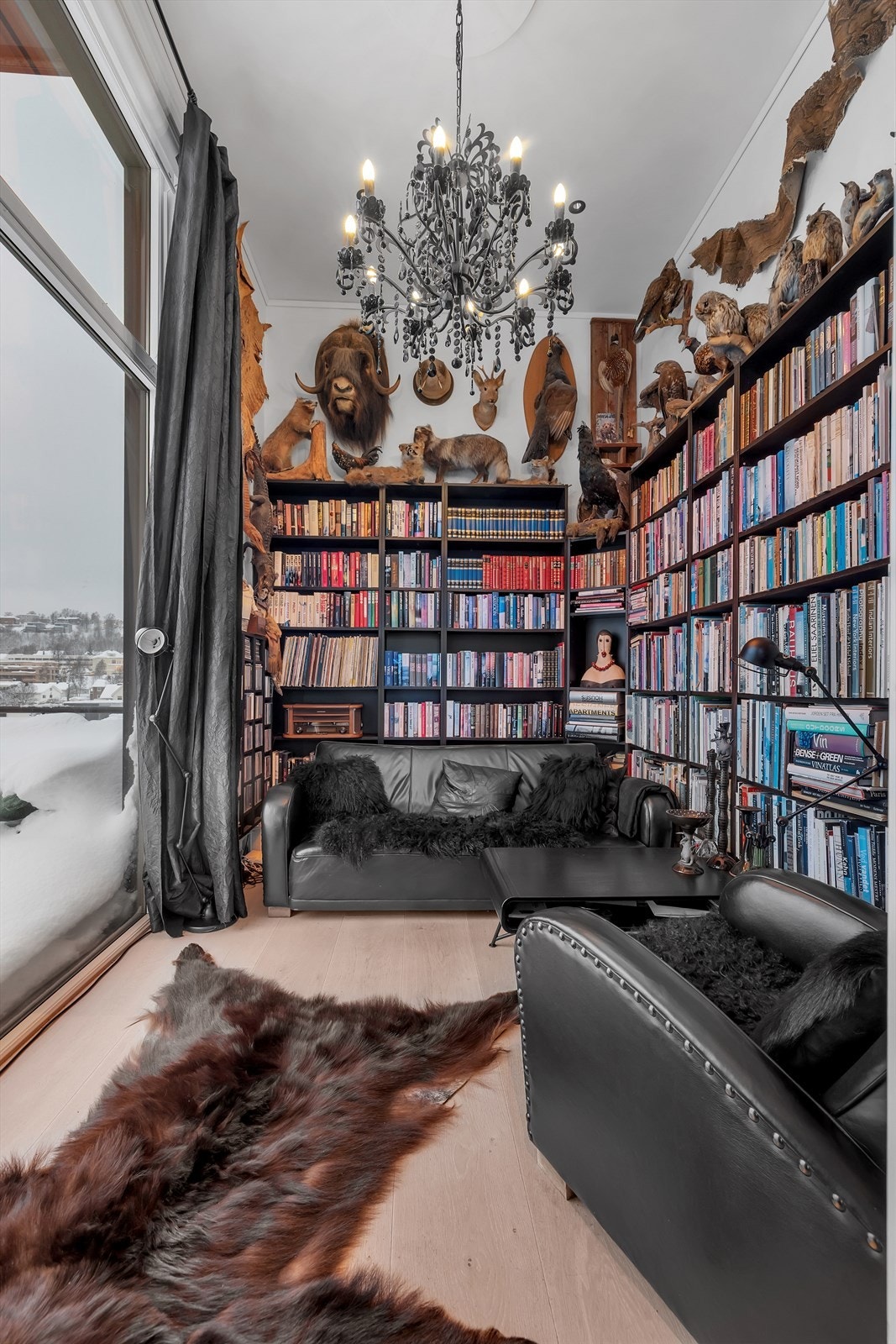 Bibliotek (eller soverom). Galleribilde