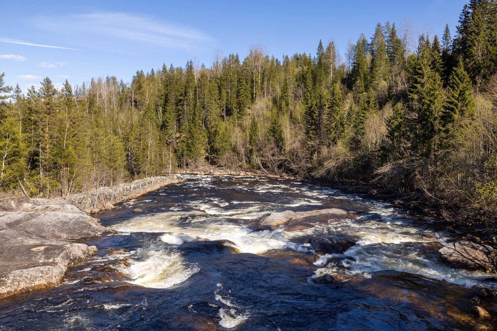 Flotte naturopplevelser langs elva, sommer som vinter. Galleribilde