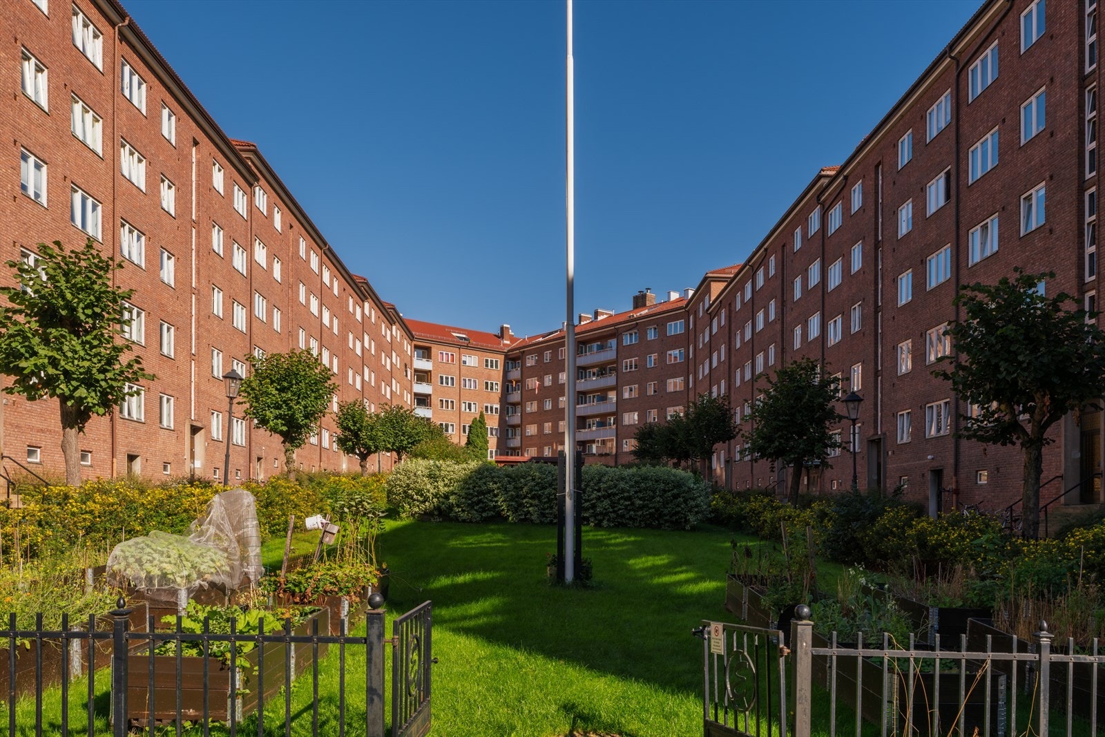 Pent opparbeidet og frodig bakgård. Galleribilde