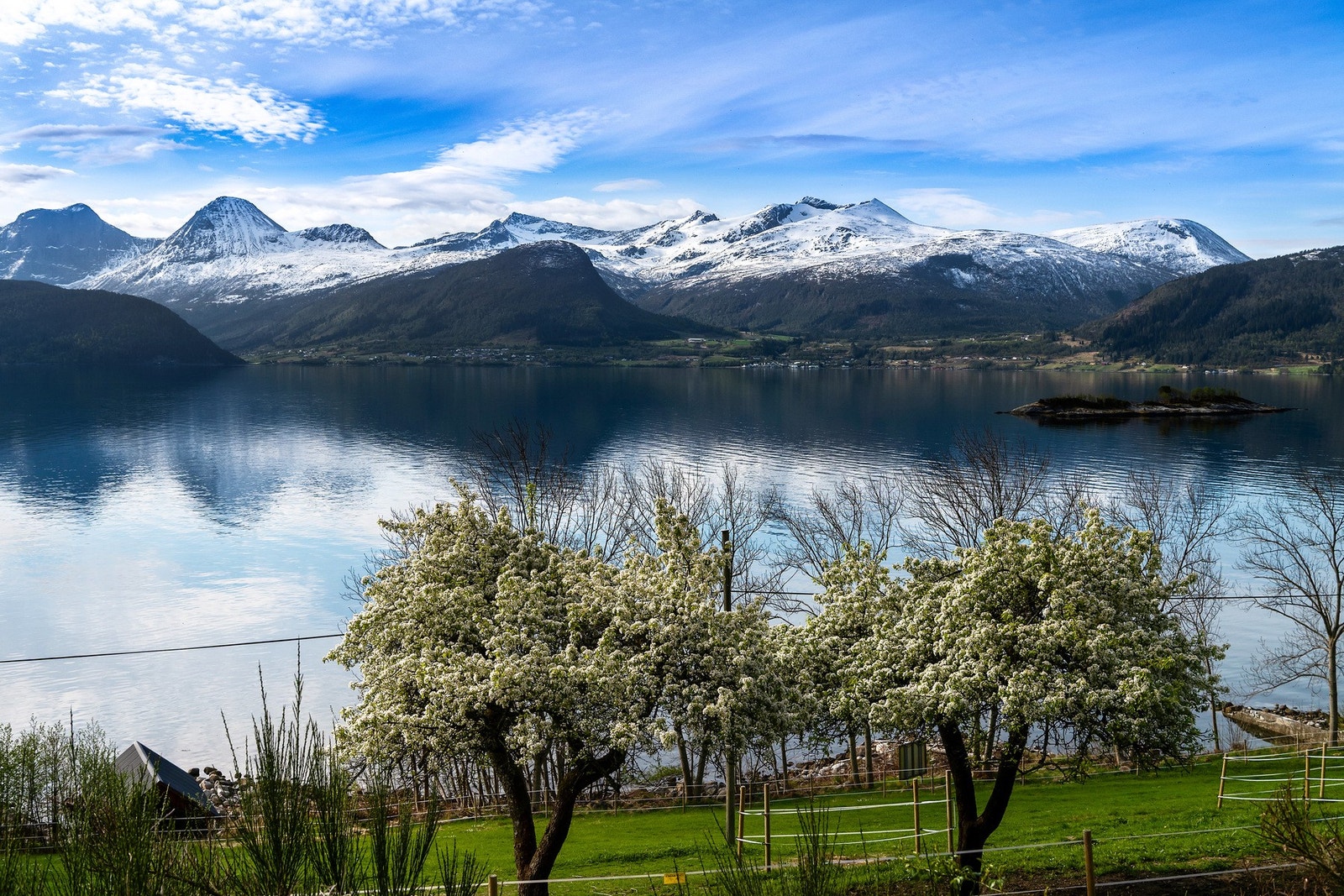 Utsikt mot fjorden og naustet Galleribilde