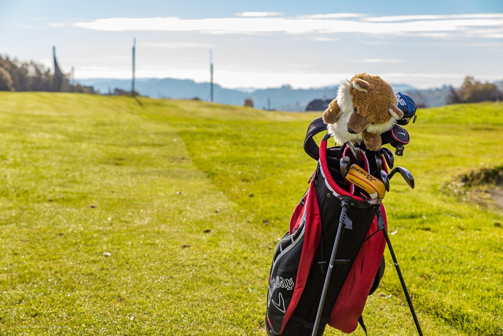 - Bjørnefjorden Golfklubb ligger 10 minutter unna med bil - Galleribilde