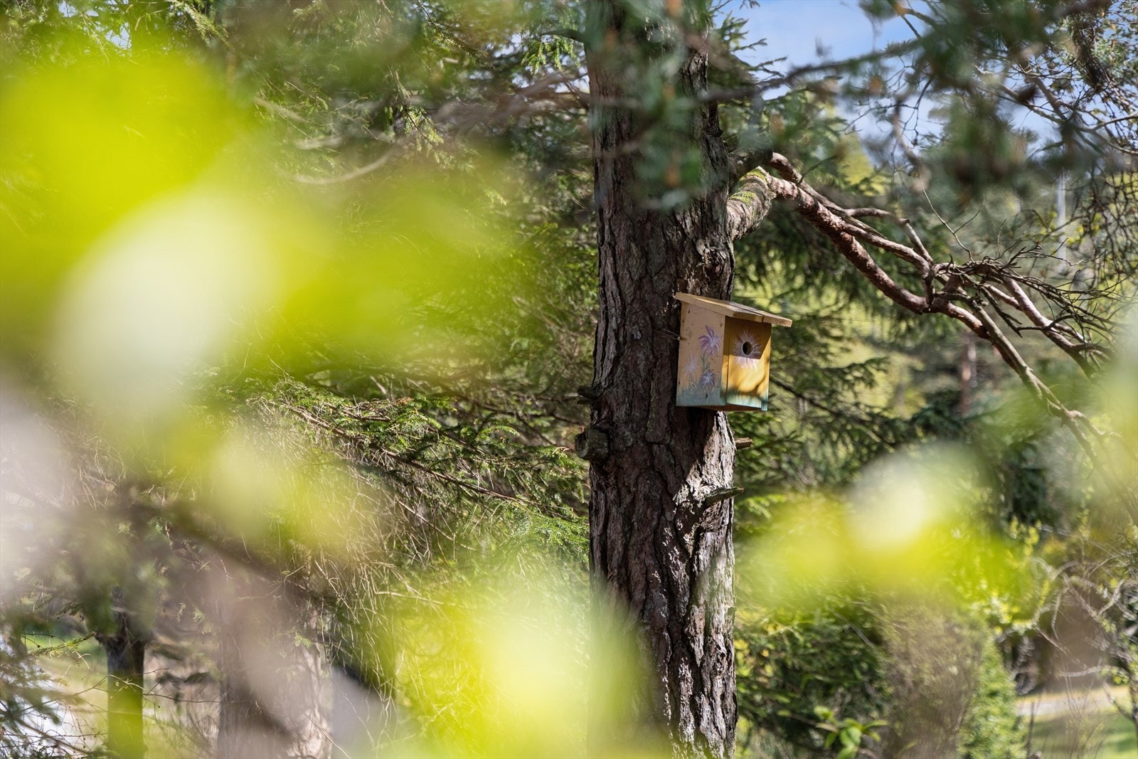 Tomten er opparbeidet med respekt for den omkringliggende naturen. Galleribilde
