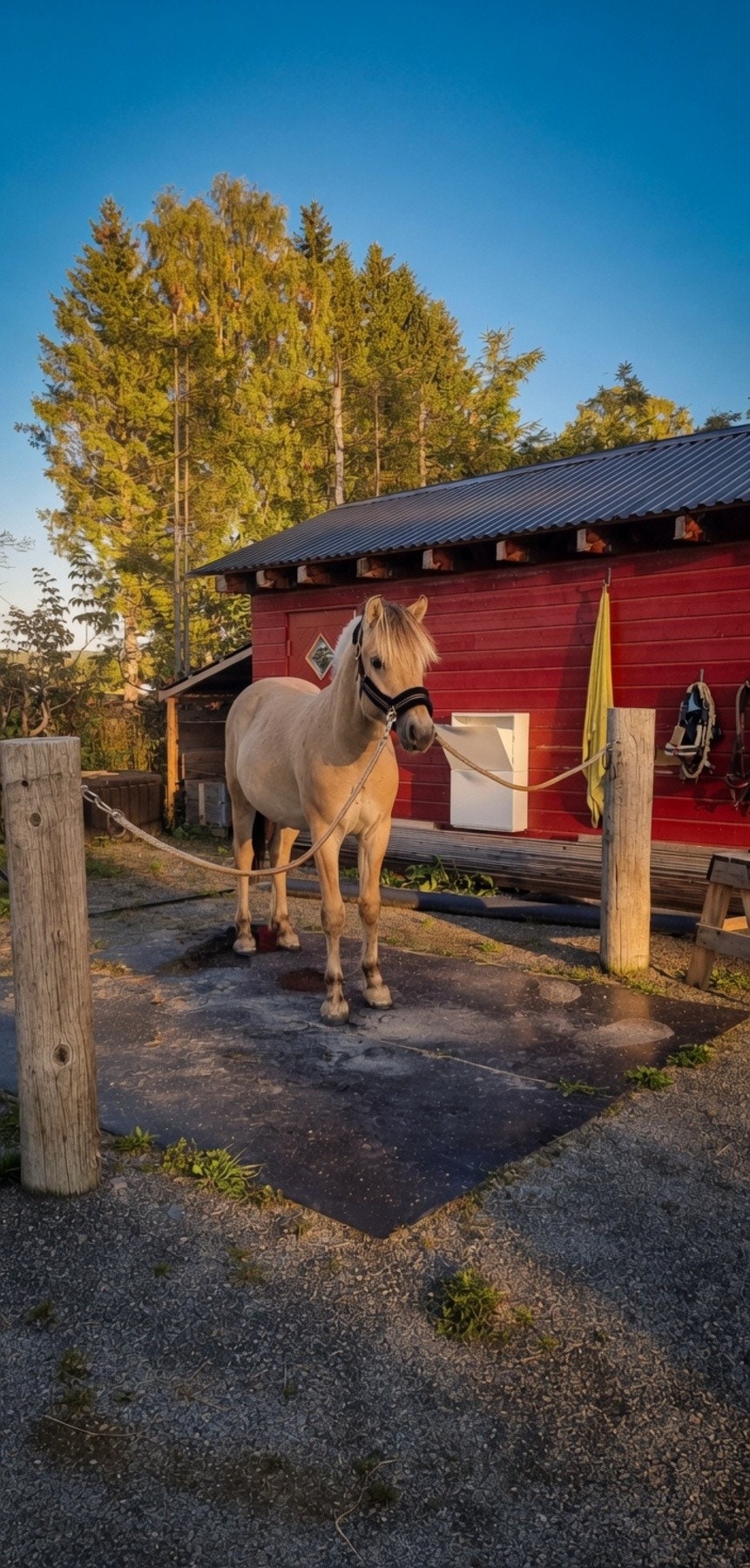 Privatfoto tatt av selger. Bildet er redigert med AI for bedre kvalitet. Galleribilde