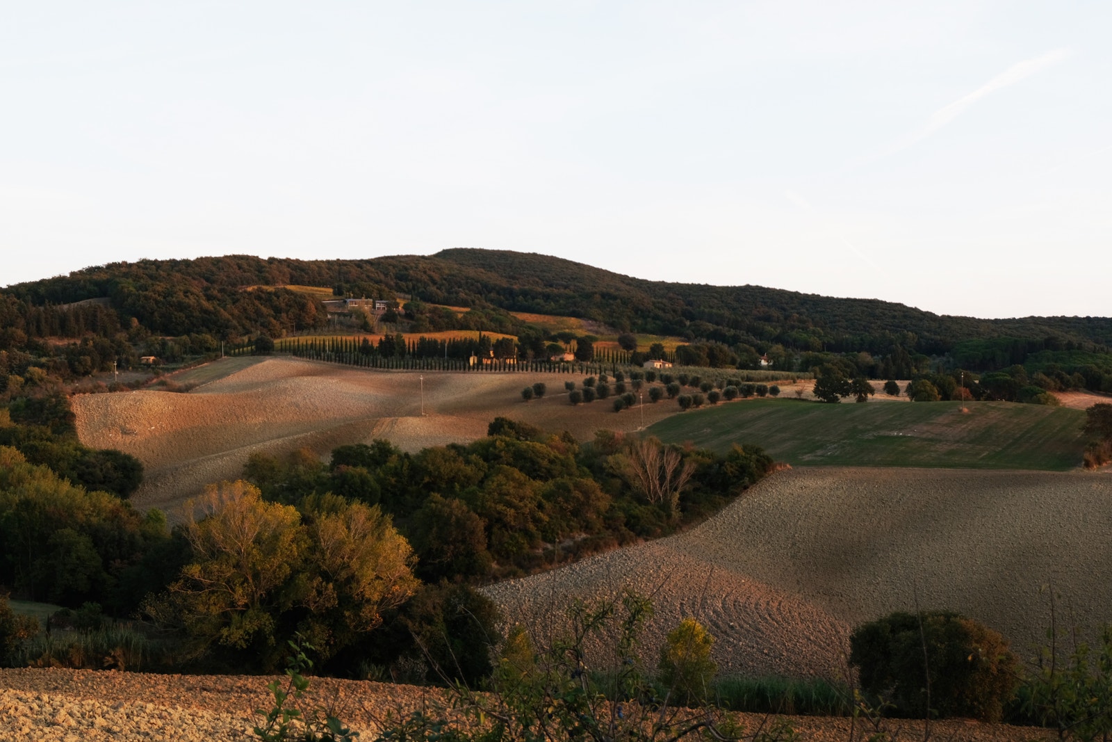 Vinveien "La Strada del Vino" Casale Marittimo Galleribilde