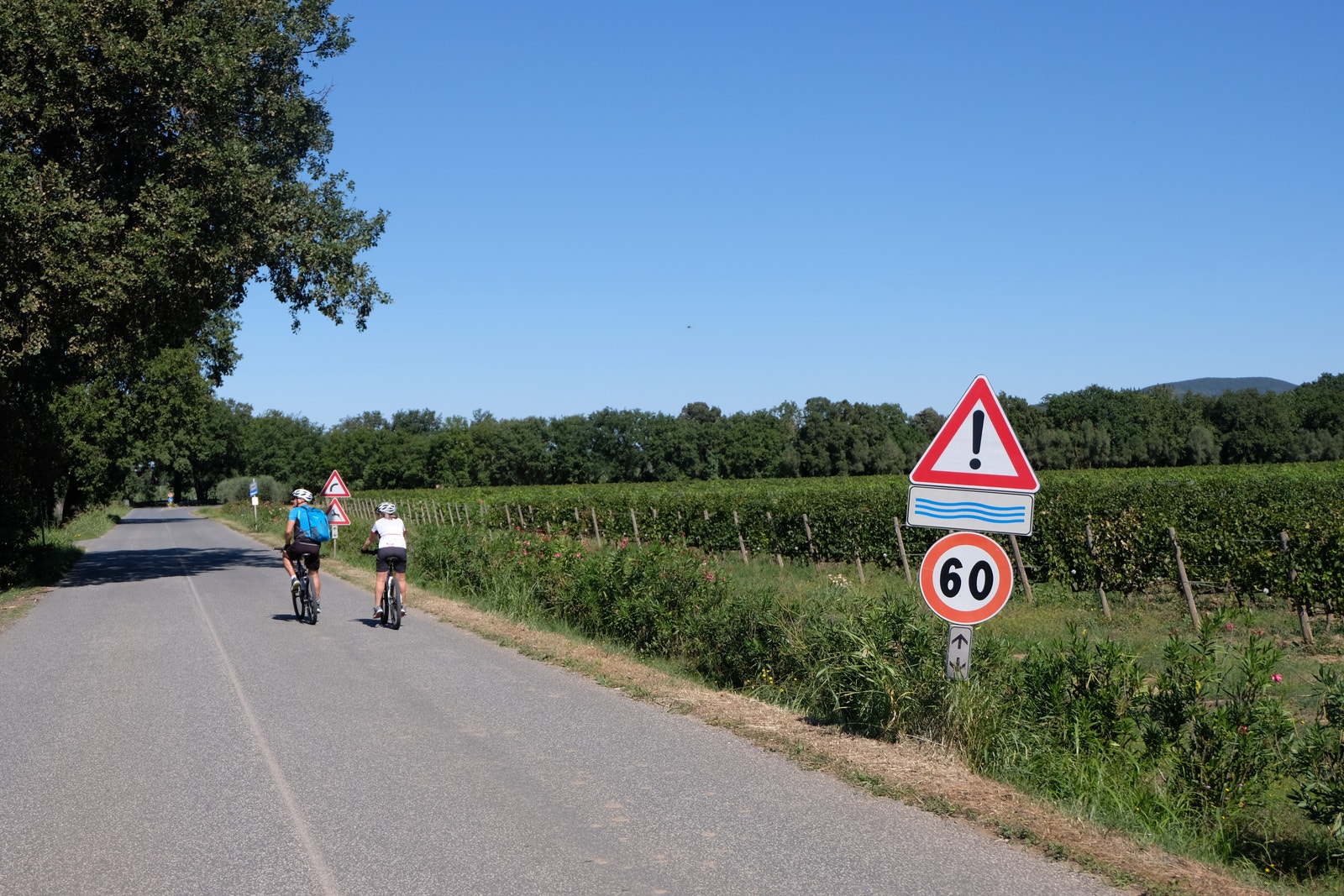 Vinveien "La Strada del Vino" Galleribilde