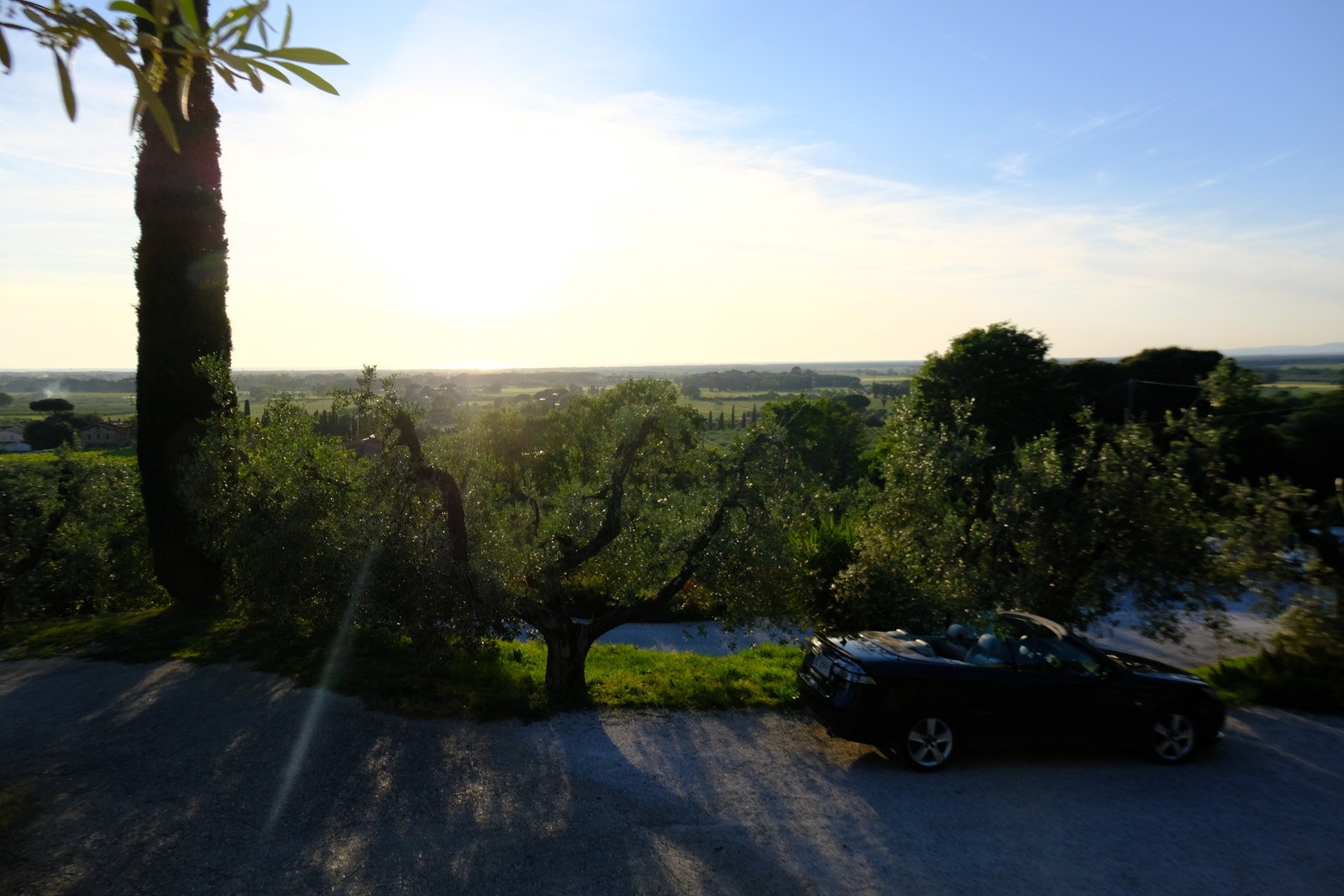 Bolgheri Galleribilde