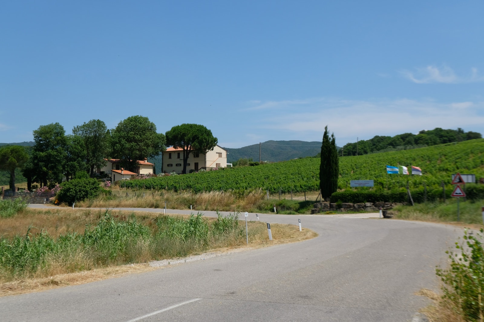 Vinveien "La Strada del Vino" Casale Marittimo Galleribilde