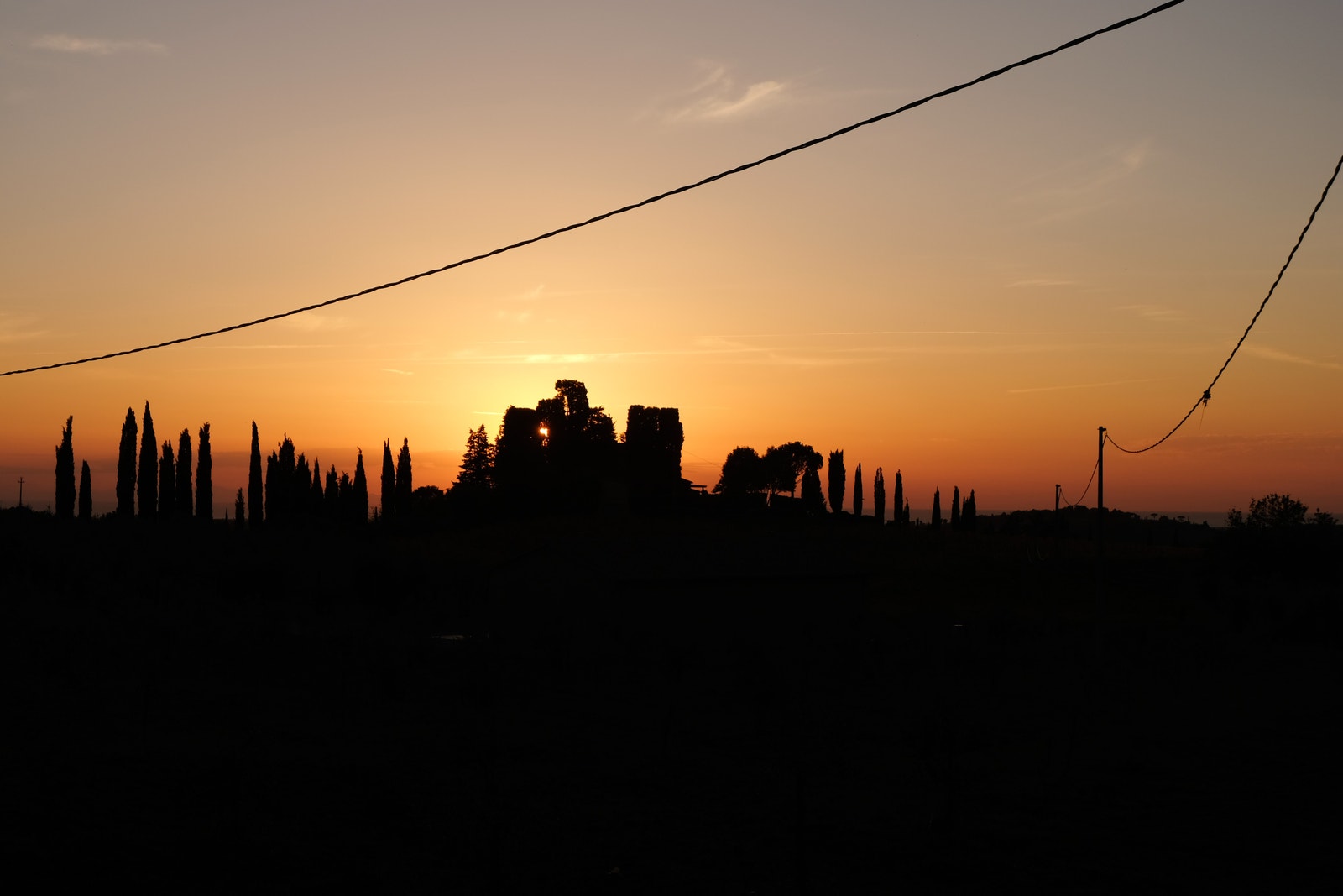 Vinveien "La Strada del Vino" Casale Marittimo Galleribilde