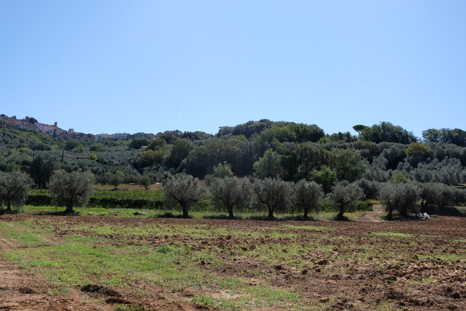 Vinveien "La Strada del Vino" Galleribilde