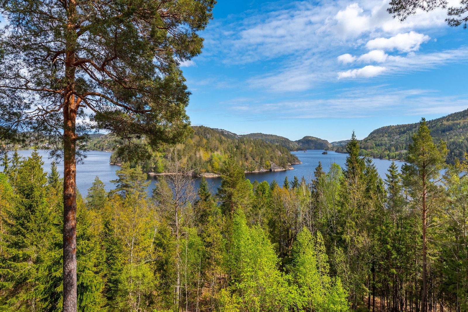 Kort vei til Borøya, Sandøya og Sørlandets vakre kystlinje. Galleribilde