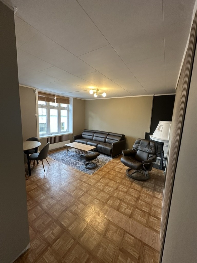 Stue Galleribilde