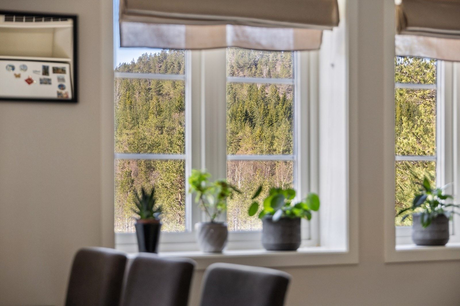 Fra vinduene har man utsikt mot landlige og grønne omgivelser. Galleribilde