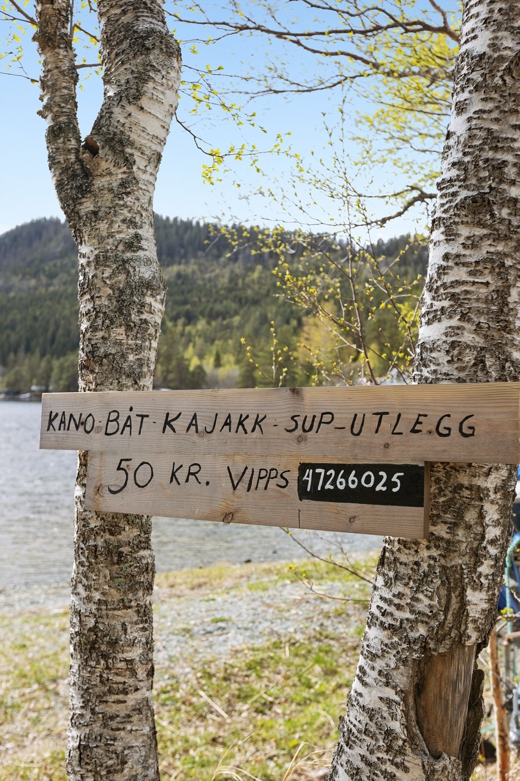 Muligheten er mange med et så flott nærområde Galleribilde