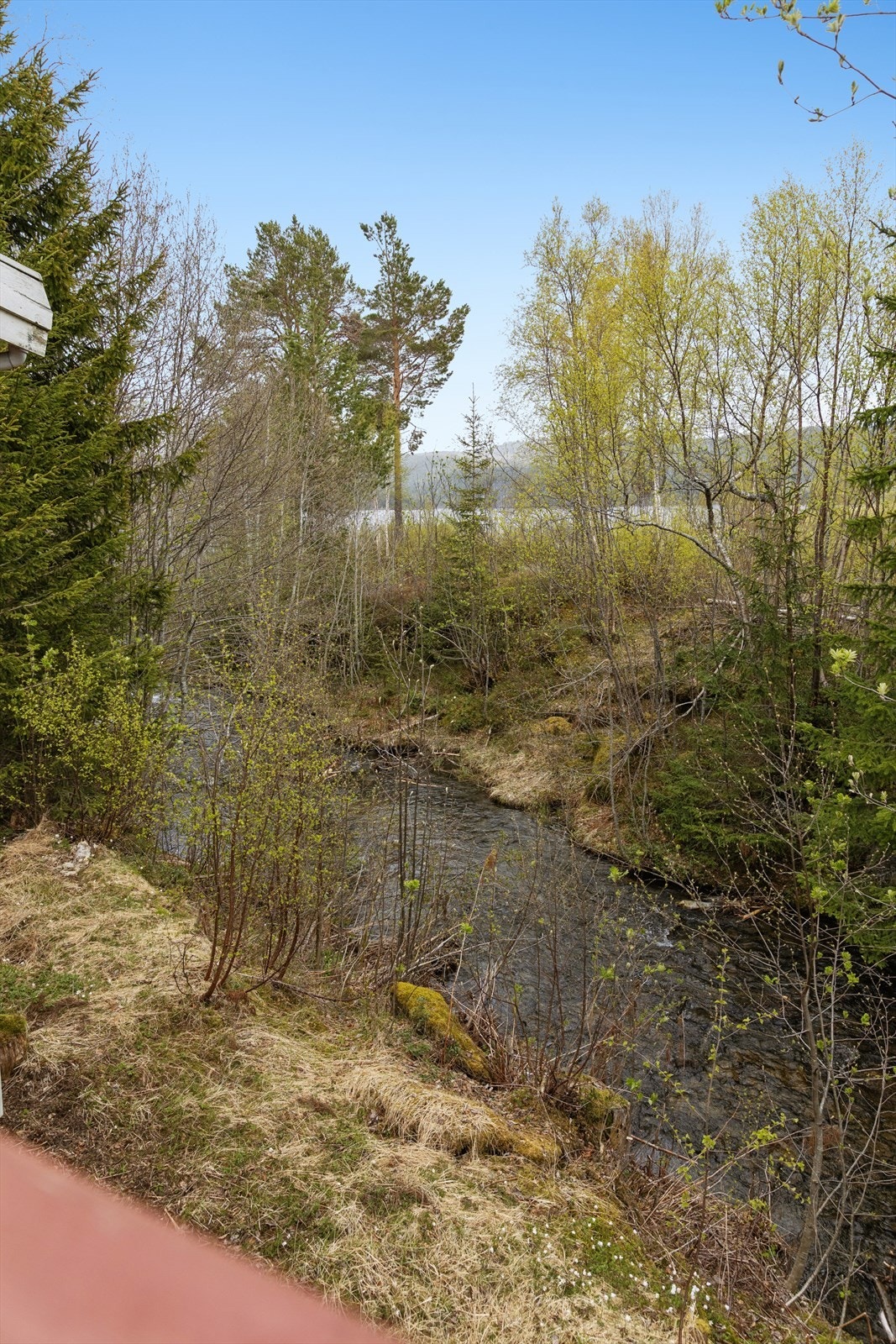 Utsikt til Konstadbekken og vakre Ånøya Galleribilde