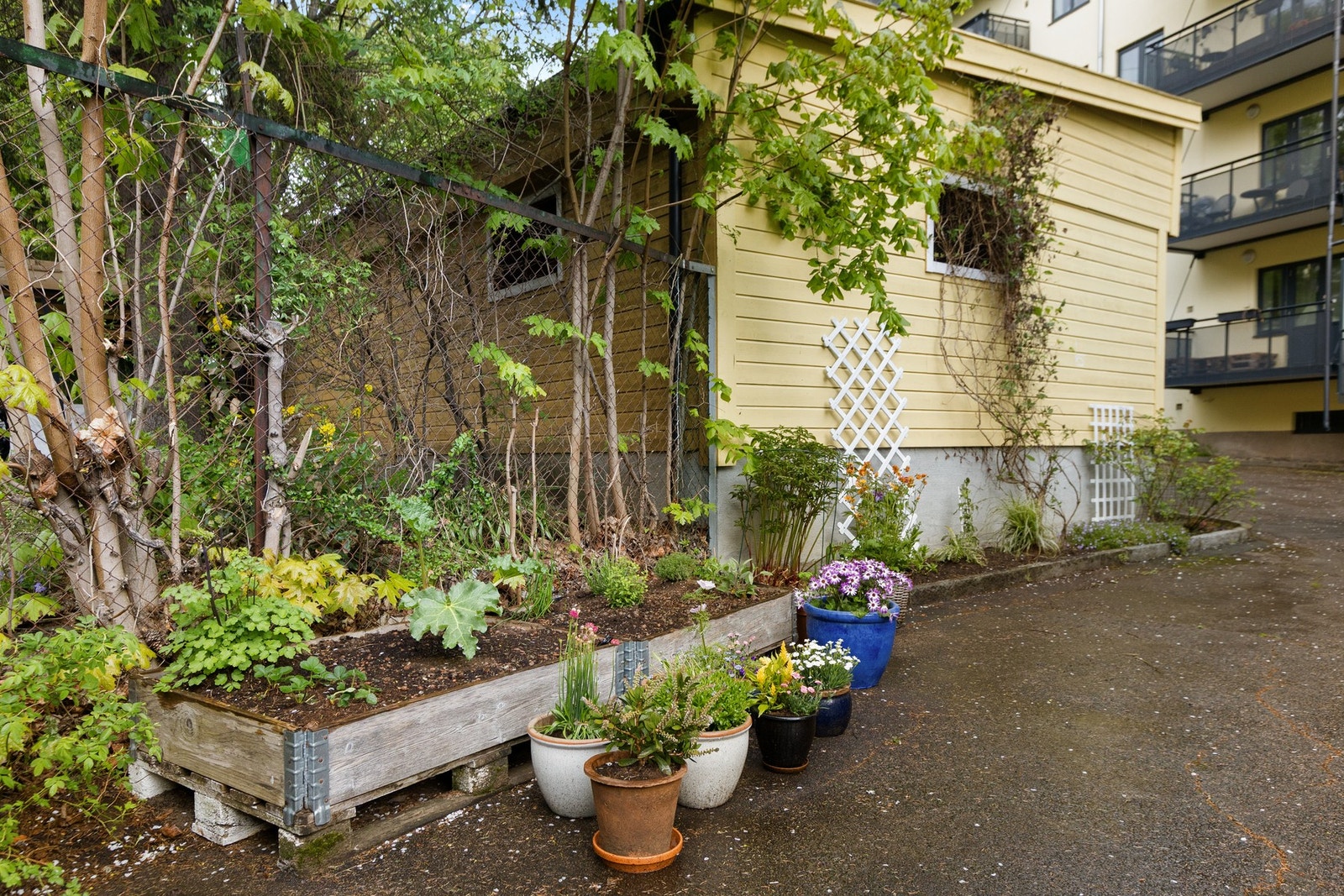 Bakgården har muligheter for planting og dyrking, som bidrar til et hyggelig og levende bomiljø Galleribilde