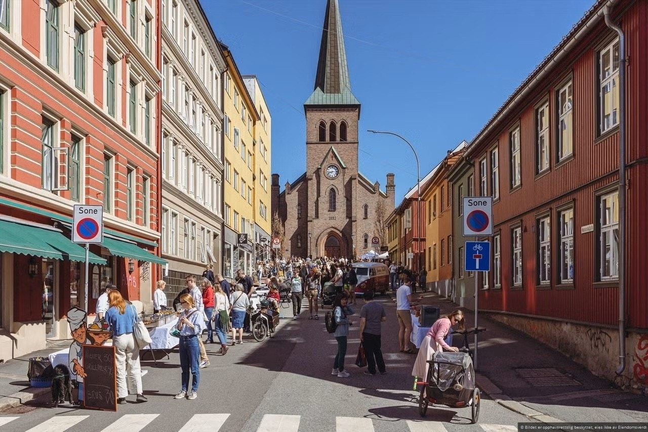 Kot vei fra leiligheten til sjarmerende Kampen. Galleribilde