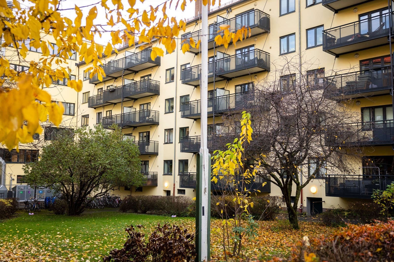 Borettslaget har en frodig og grønn bakgård. Galleribilde