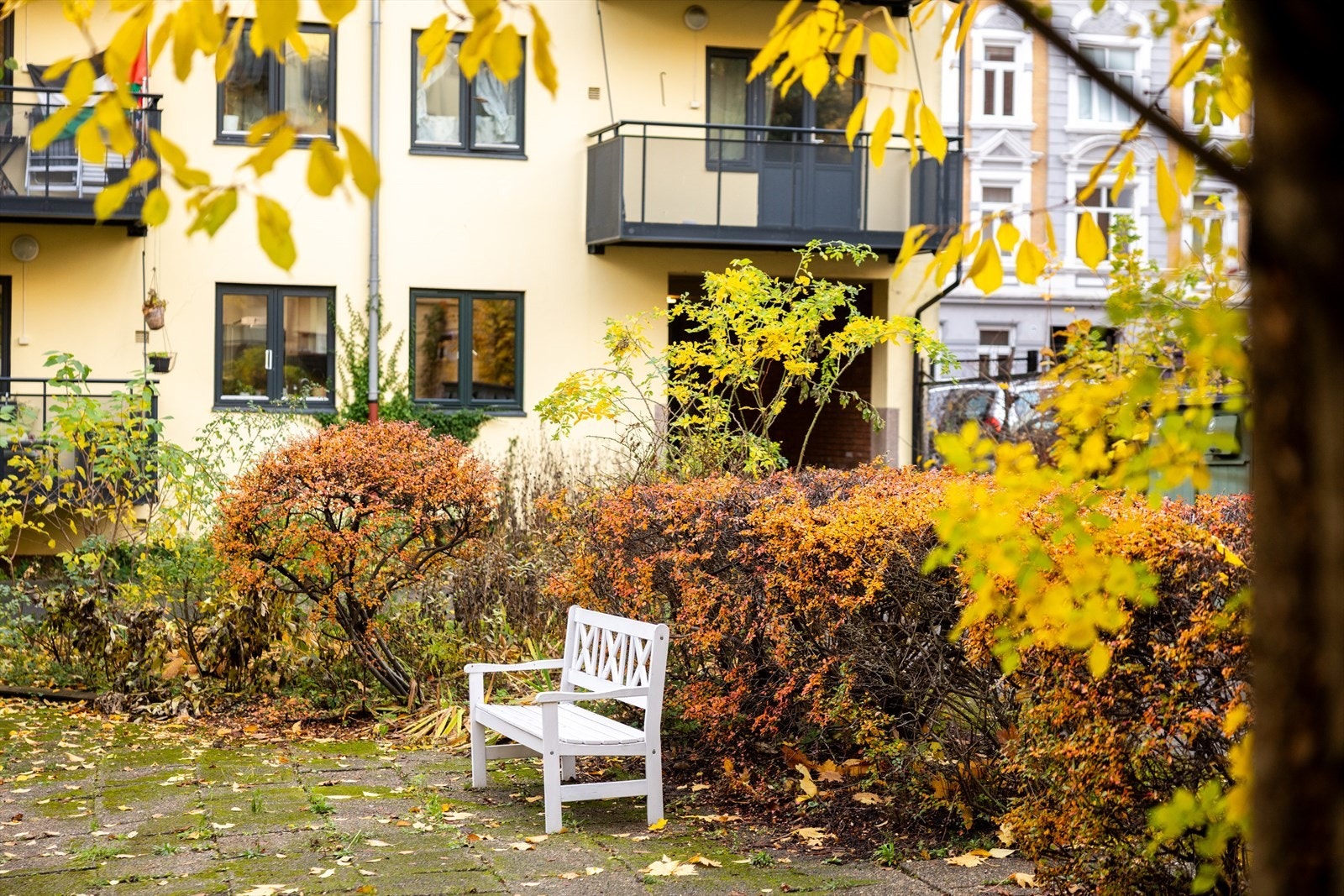 Bakgård består av flere hyggelige sittegrupper. Galleribilde