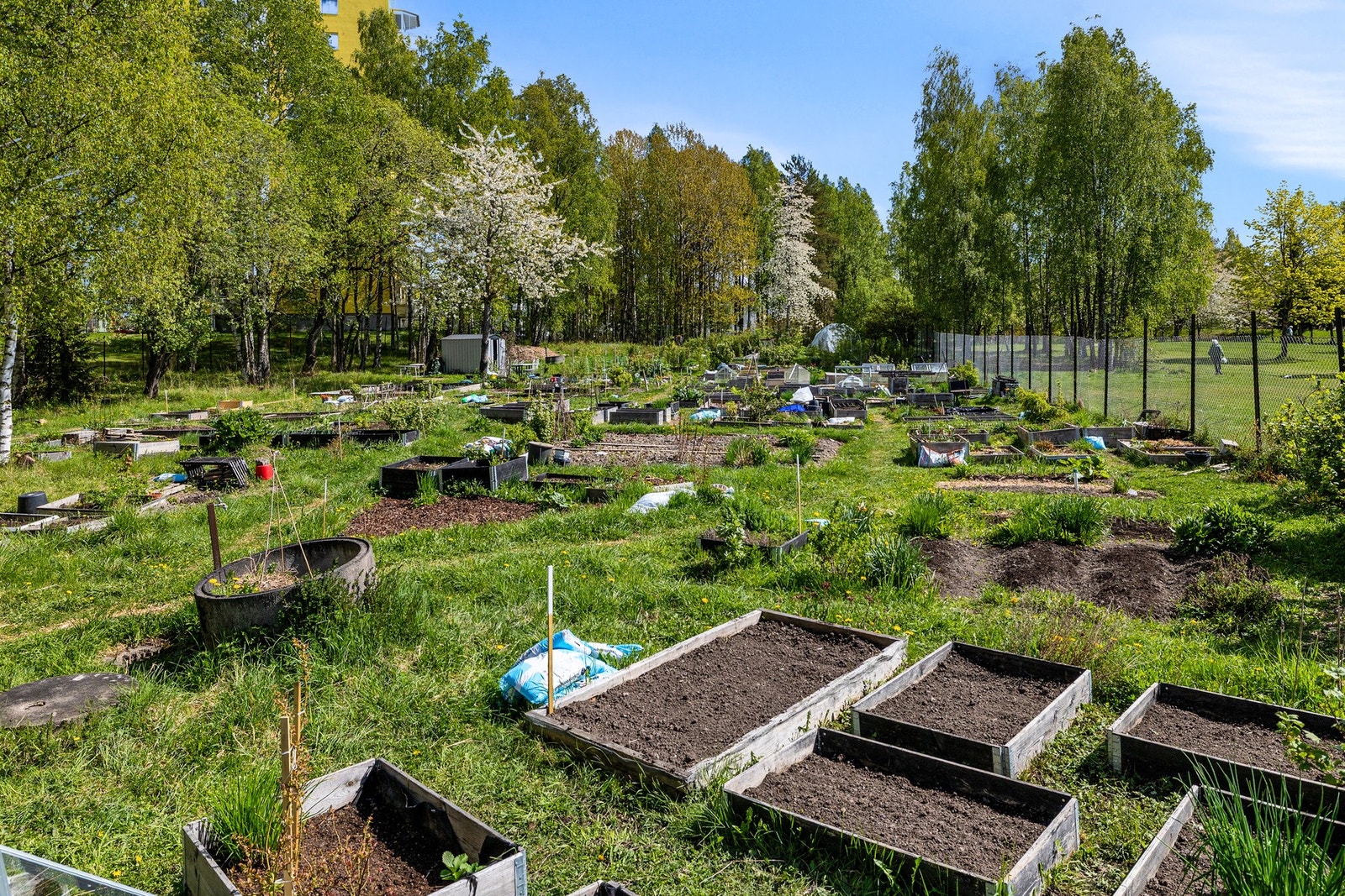 Mulighet for parsellhage og et hyggelig parsellhagemiljø etter venteliste. Galleribilde