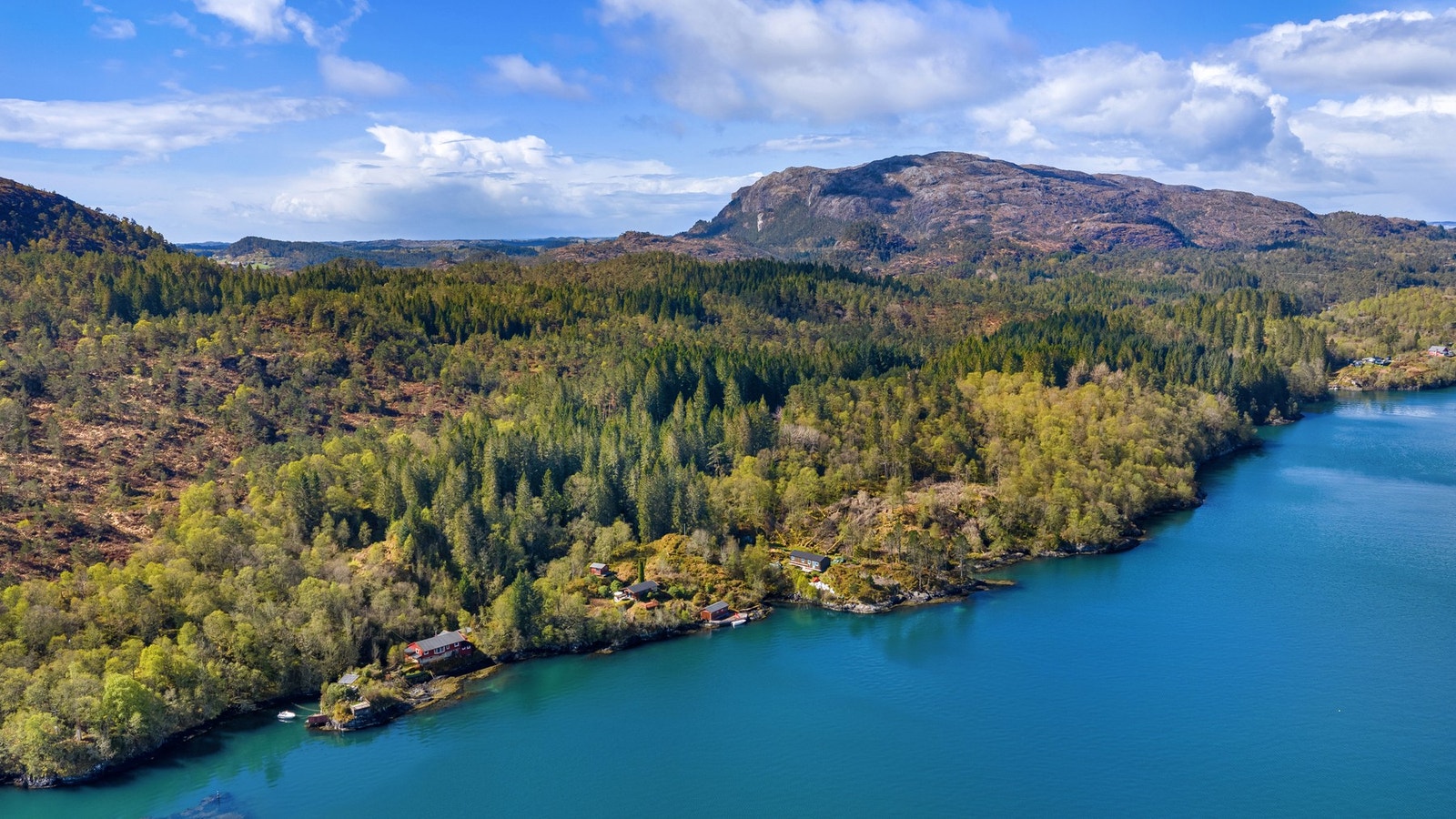 Velkommen til en hyggelig visning! Galleribilde
