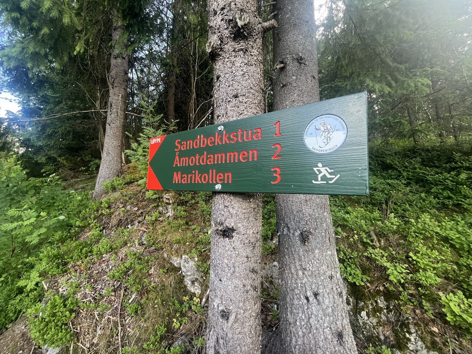 I Ræringåsen kan du gå mange fine fotturer, og videre inn til Østmarka. Galleribilde