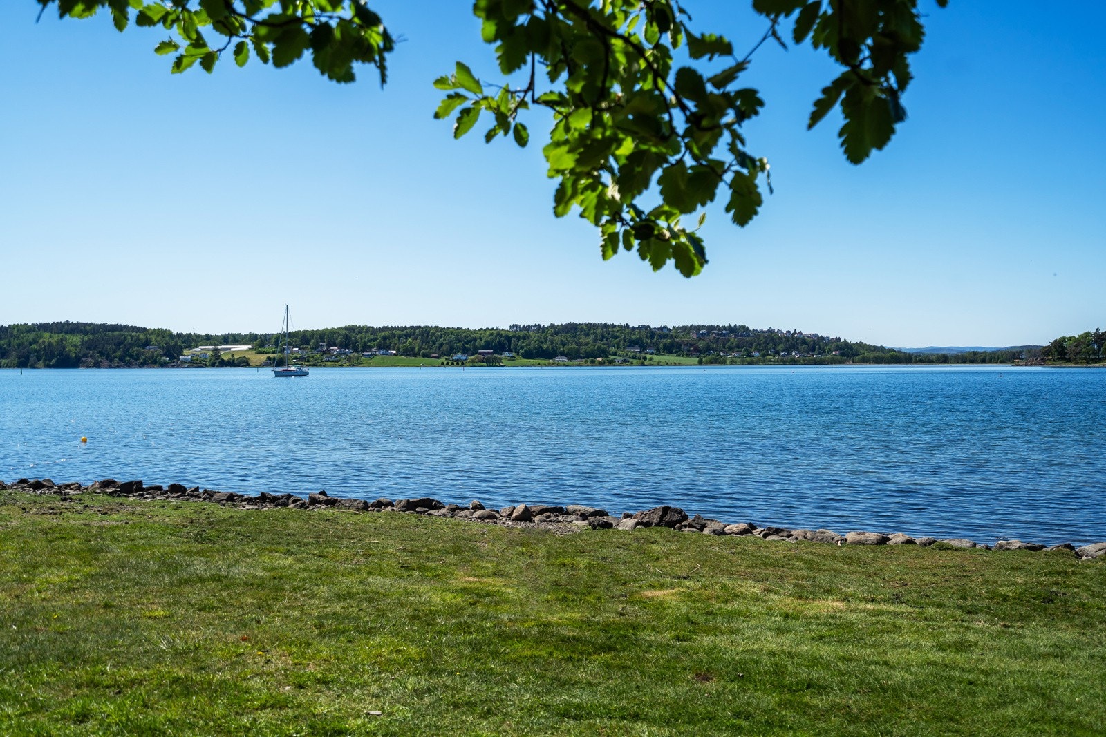 Nærområde Galleribilde