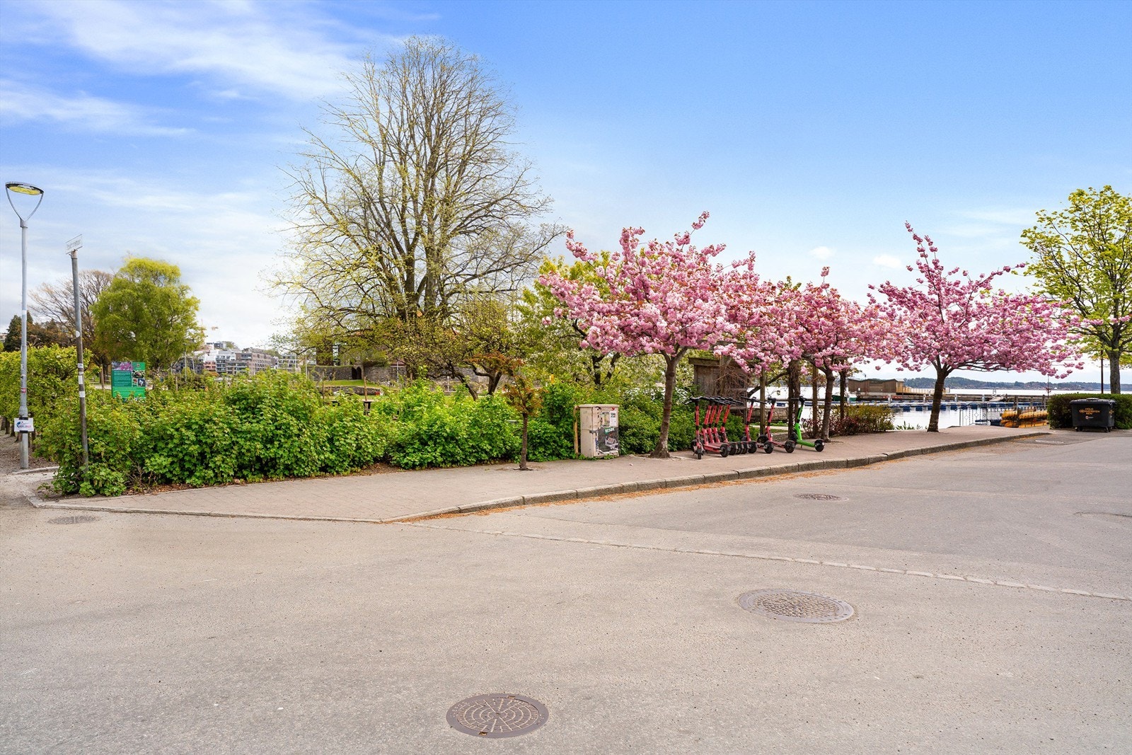 Nærområde med flotte opparbeidet beplanting og gjestehavn like ved Galleribilde