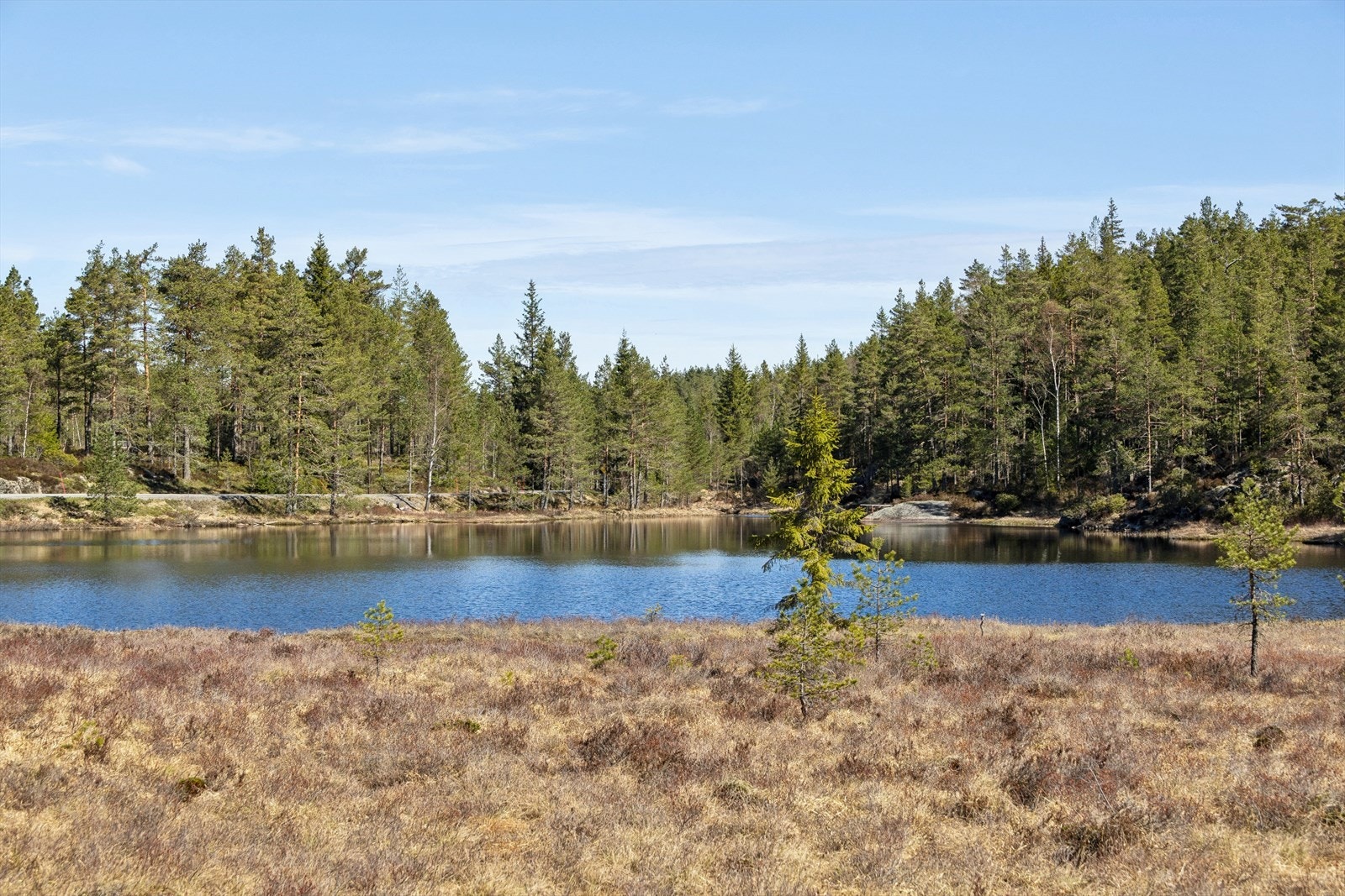 Med nærhet til både Lille Ljosevatn og Oggevatn er det gode muligheter for bading og fiske. Galleribilde