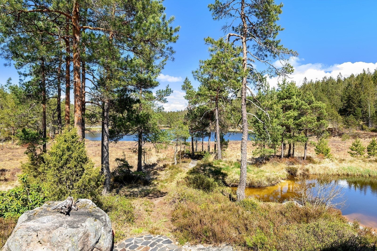 Privat bilde Galleribilde