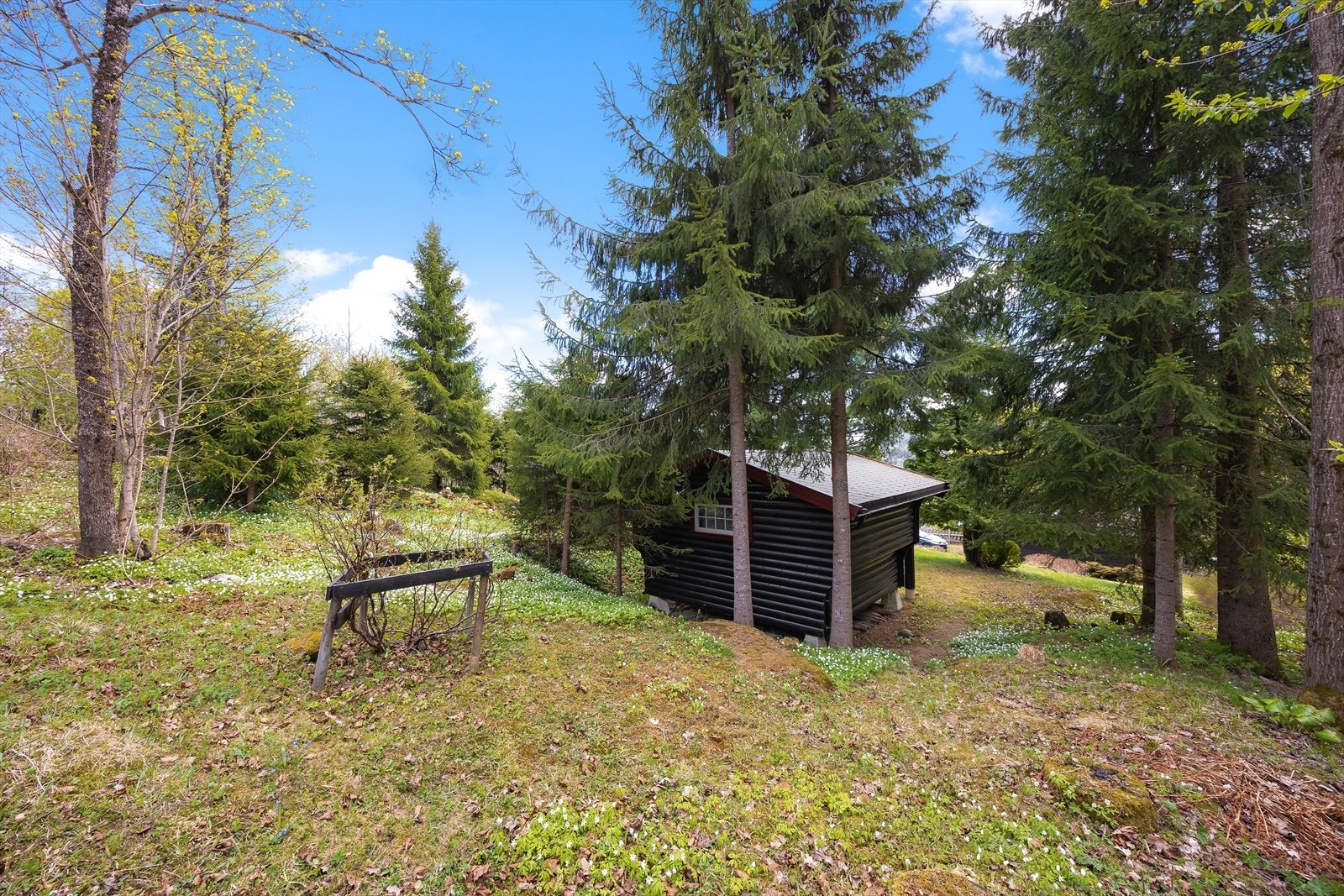 Naturtomten gir en følelse av å ha skogen som en del av hagen. Galleribilde