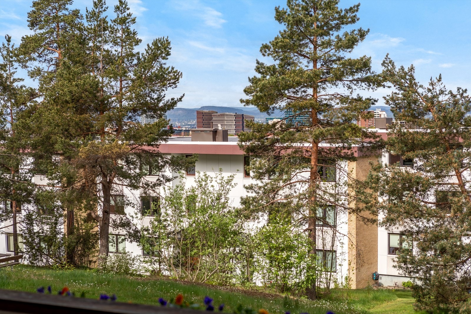 Utsyn over nærområdet fra leiligheten. Galleribilde